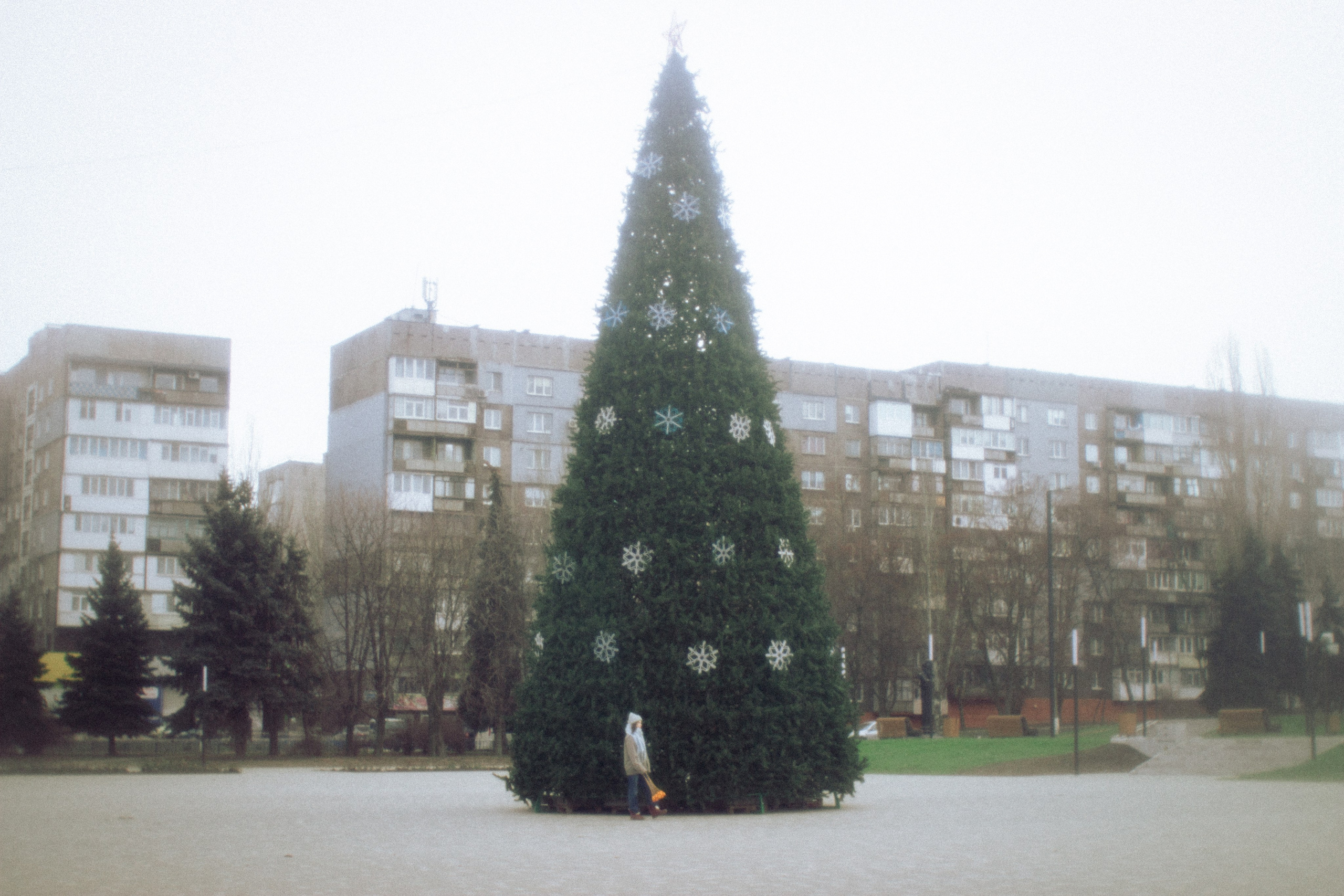 В ожидании чуда. • Фотограф Александра Светозар Алчевск •