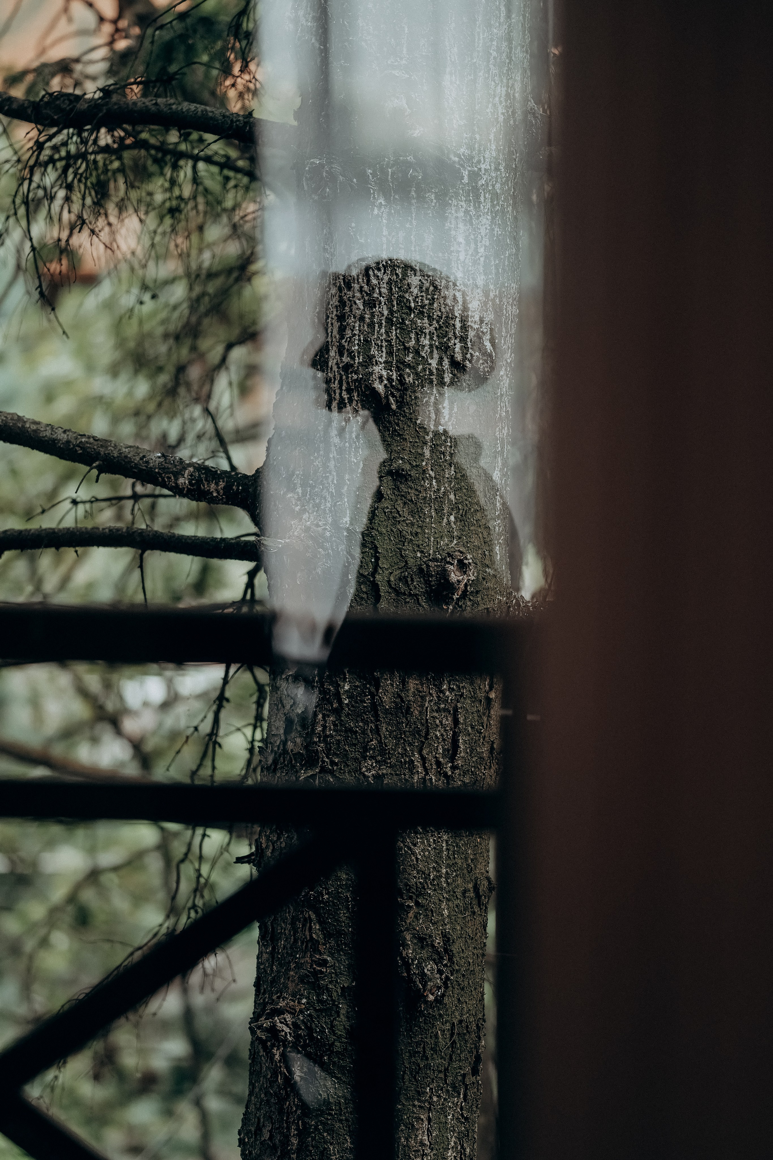 Осенняя нежность в Медвежьих озерах, Щелково. Свадебная фотоистория. Свадебный и семейный фотограф Виктория Носачёва. Щелково, Москва и МО
