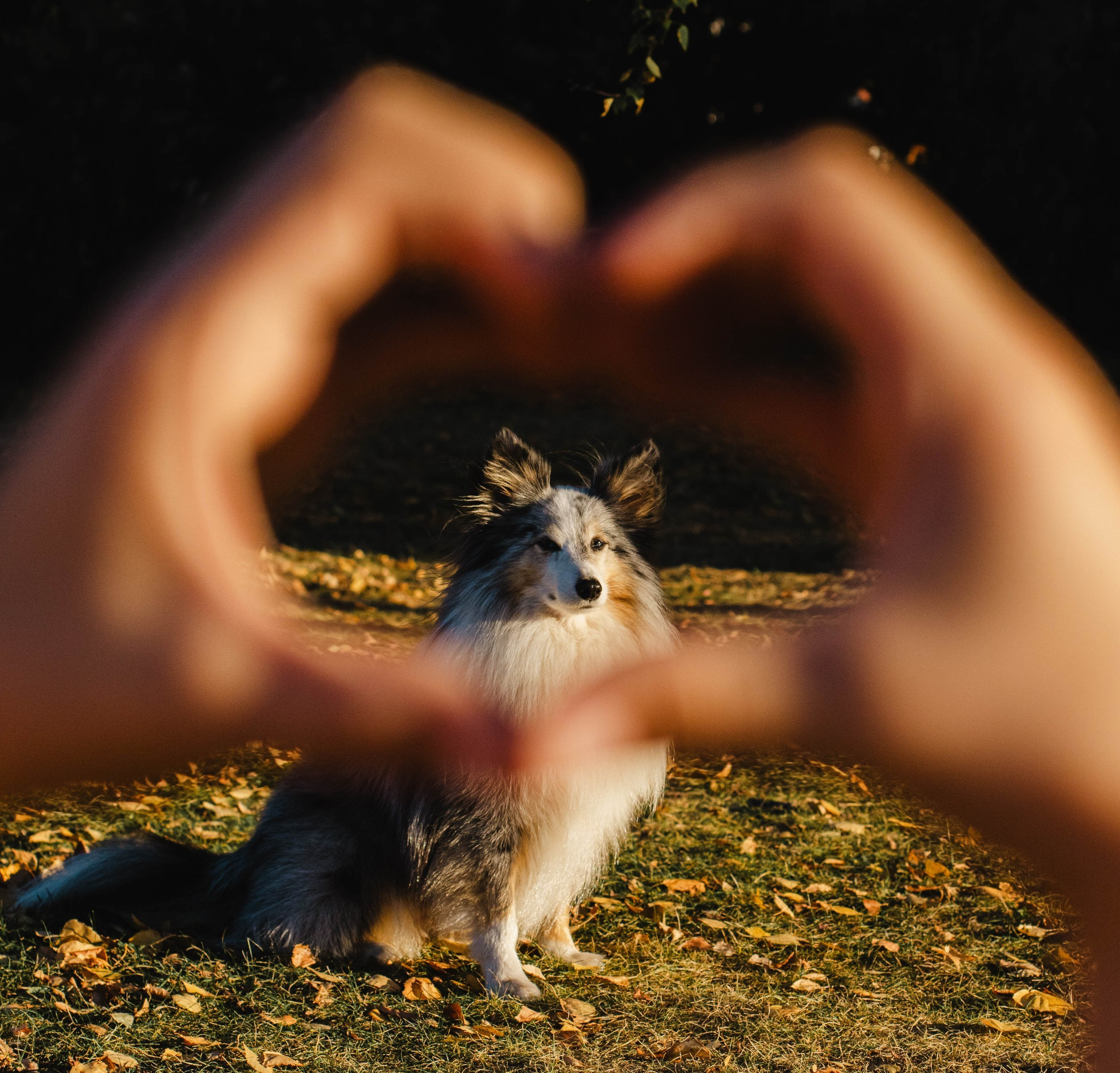 Маша & Аки. Фотограф в Москве Ксюшенька