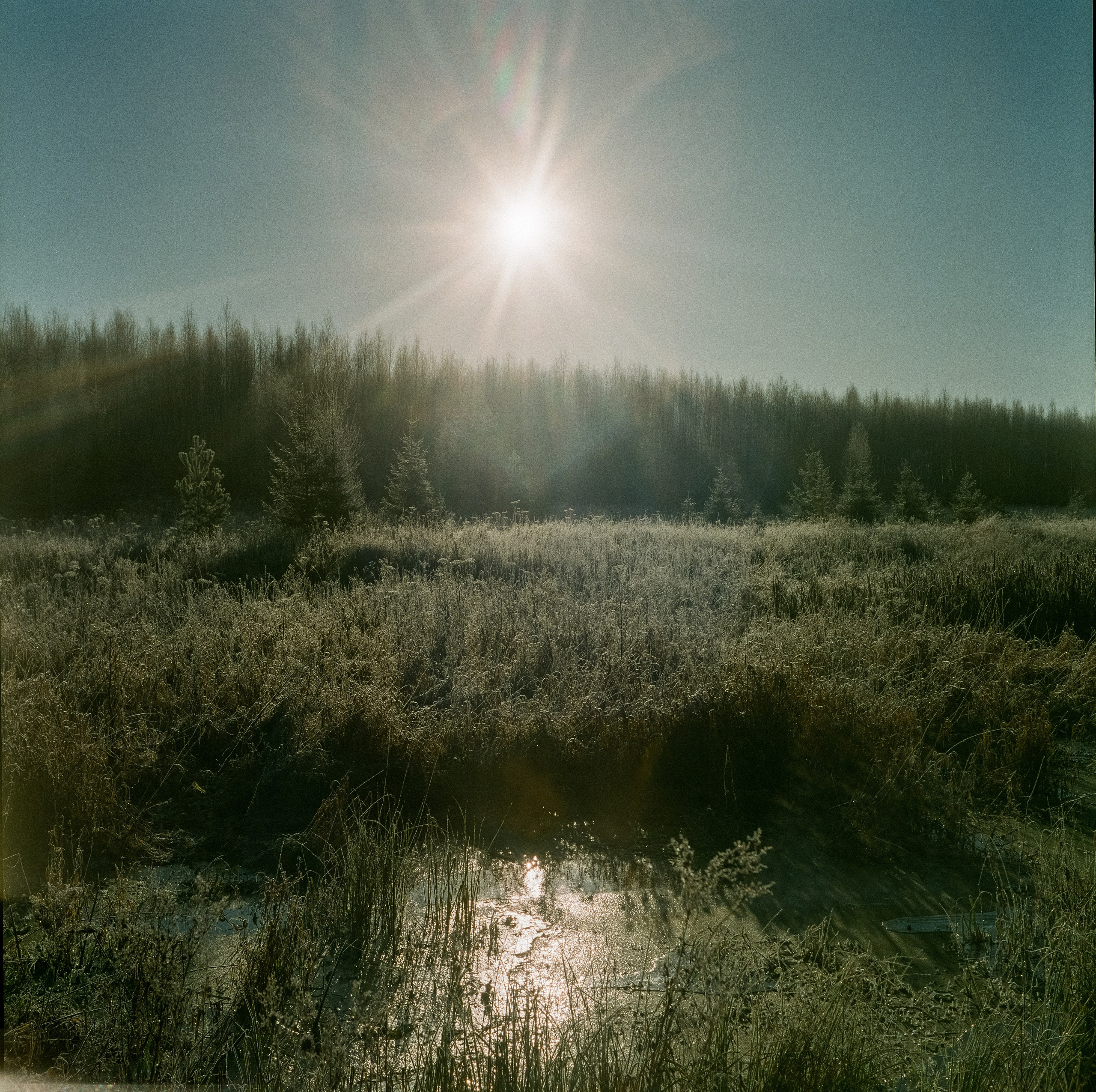 Rollop Enna Munchen Ennagon / Fujicolor PRO 400H