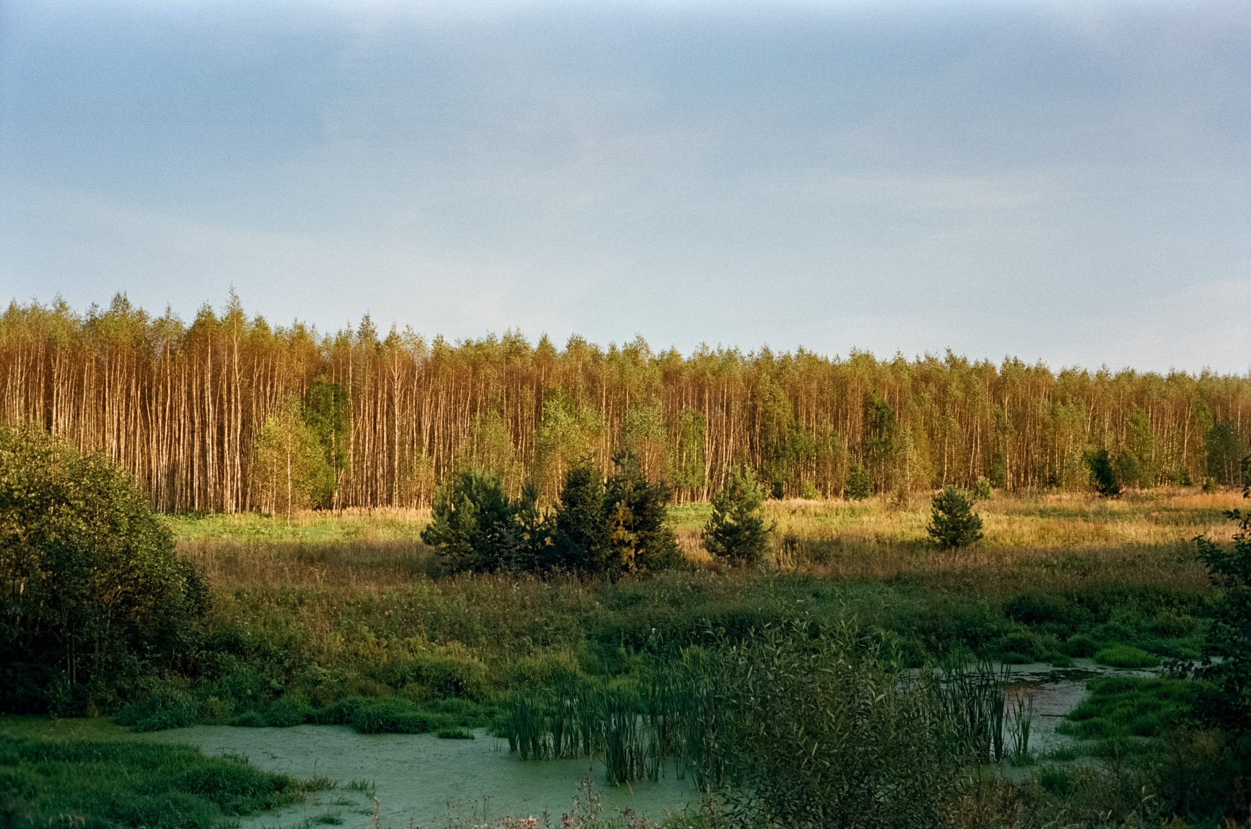 Minolta Hi-Matic 7SII примеры фотографий