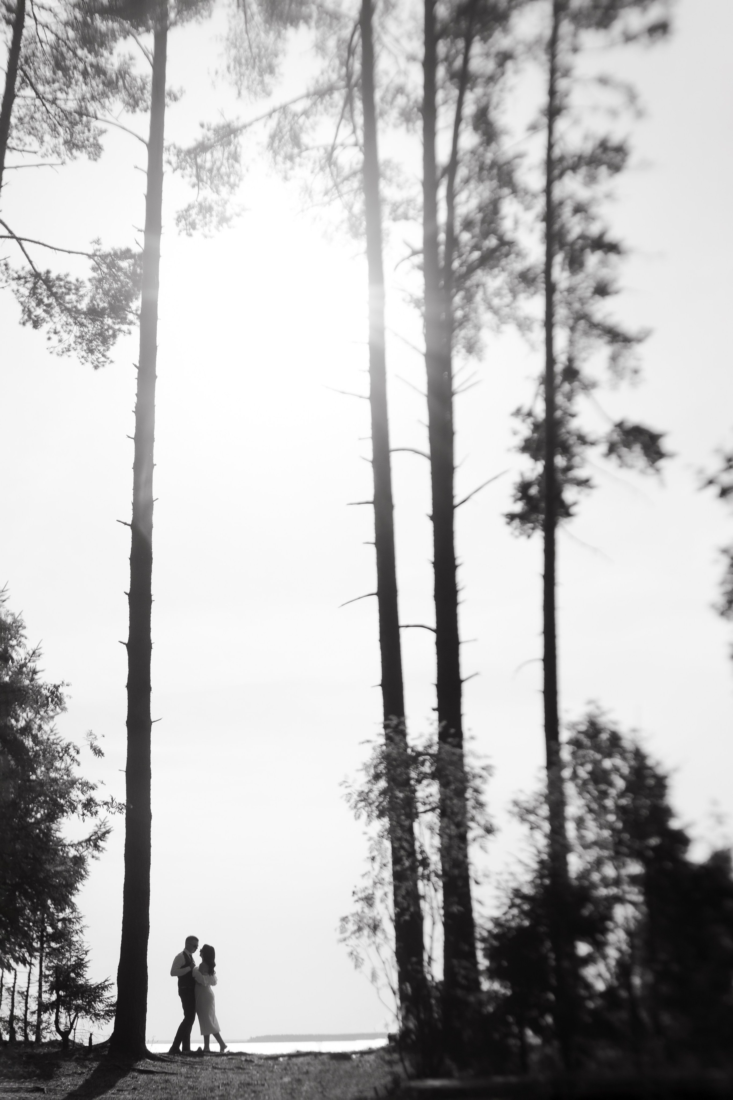 Анонс. Свадебный фотограф Кузнецова Ольга Санкт-Петербург, Вологда, Череповец