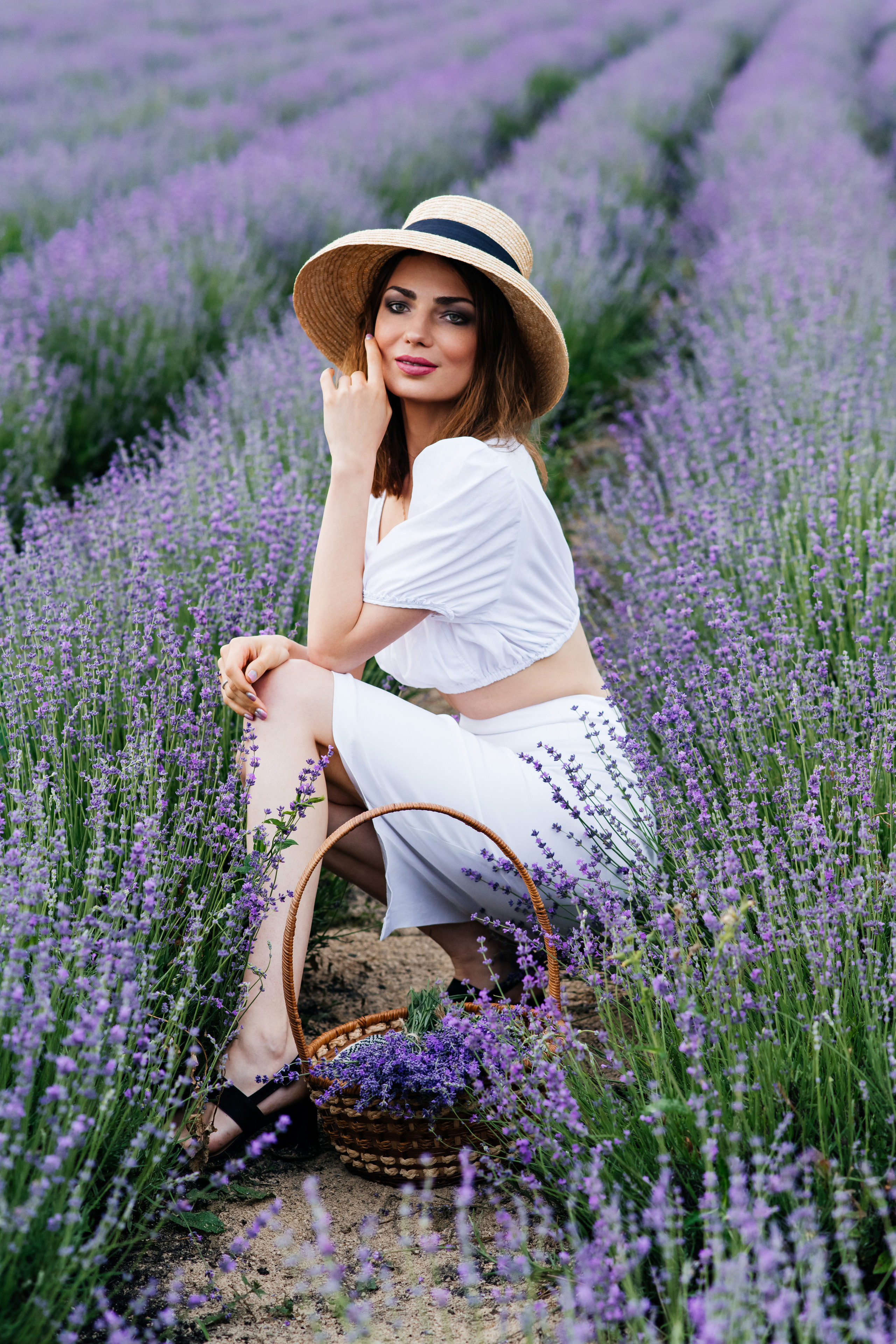 Фото-День «Лаванда». Главная