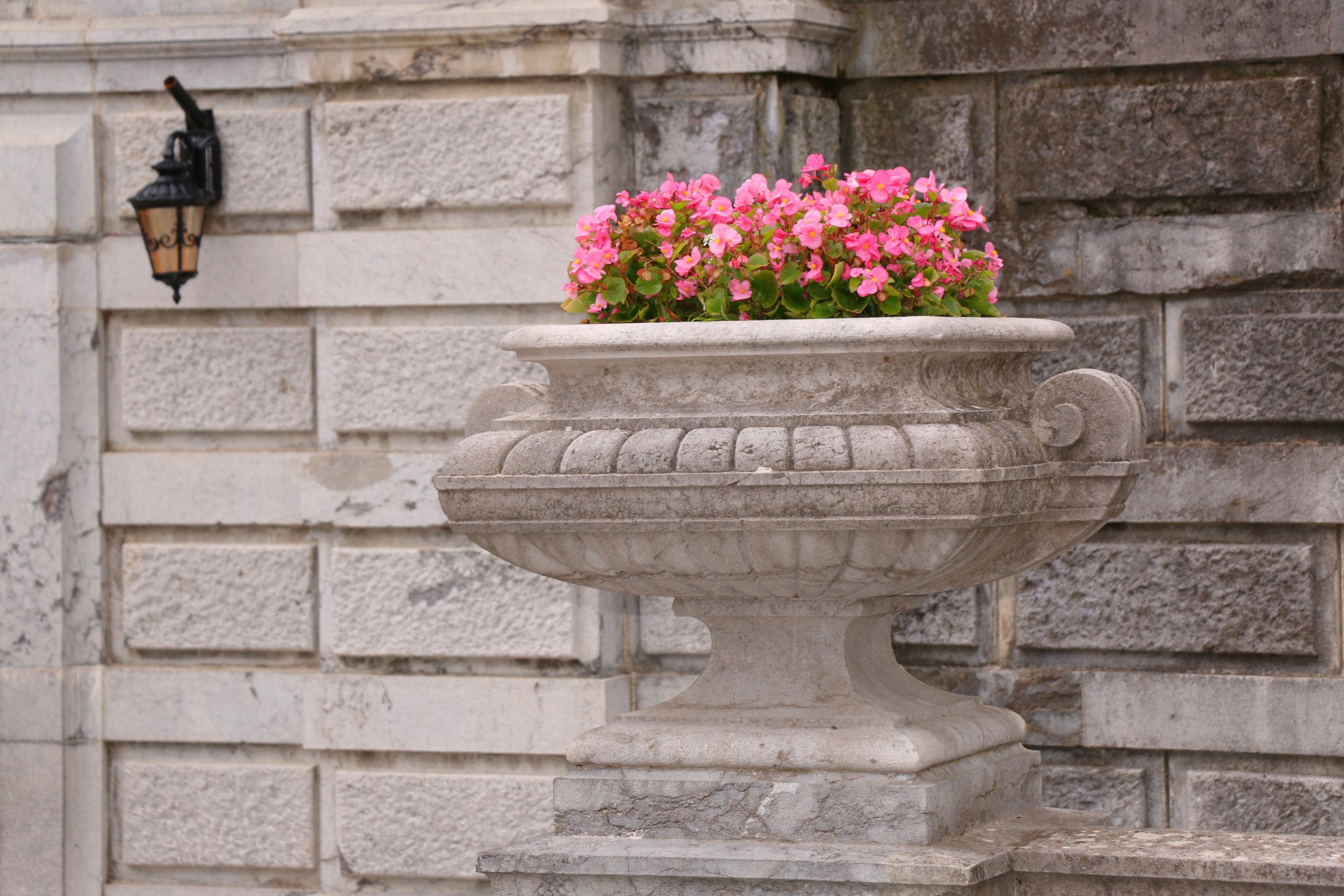 Природа. Семейный и детский фотограф в Ялте Ольга Солерина