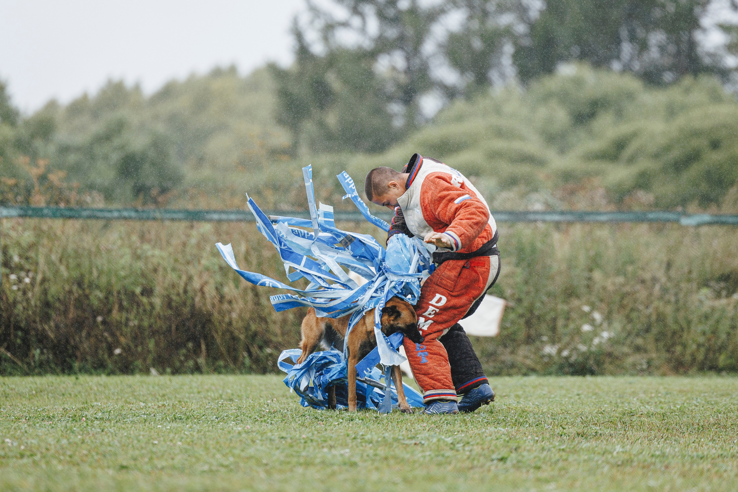 08.08.25-10.08.25 ЧР по мондьорингу г. Вологда. Фотограф-анималист Анна Маринич