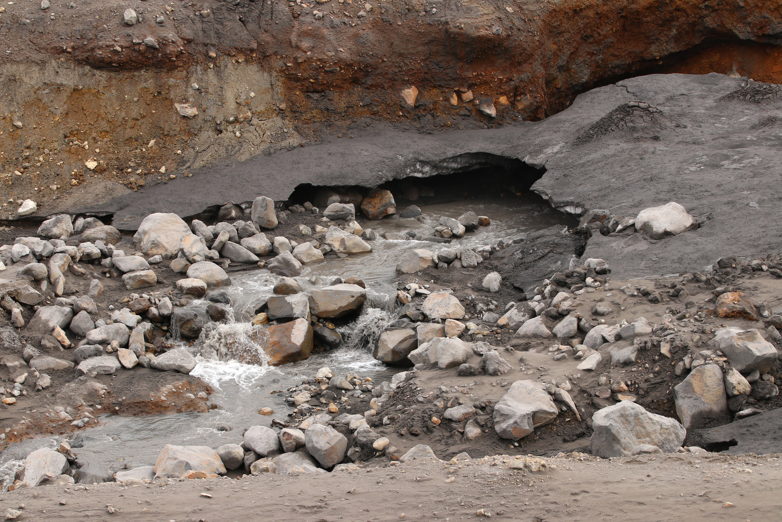 Камчатка и о. Парамушир. Июль 2024. Путешественник-фотограф из Санкт-Петербурга Татьяна Свистулина