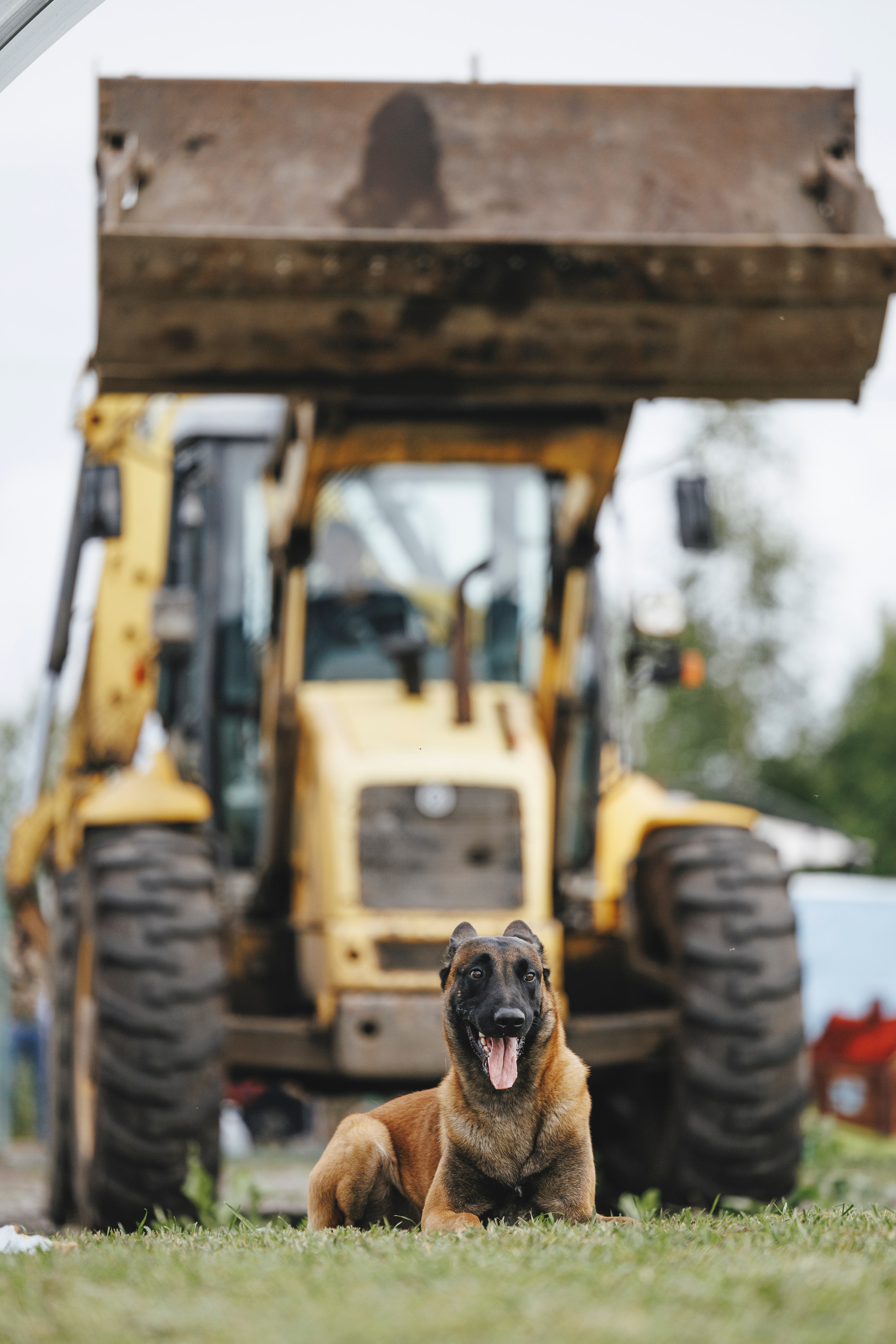08.08.25-10.08.25 ЧР по мондьорингу г. Вологда. Фотограф-анималист Анна Маринич
