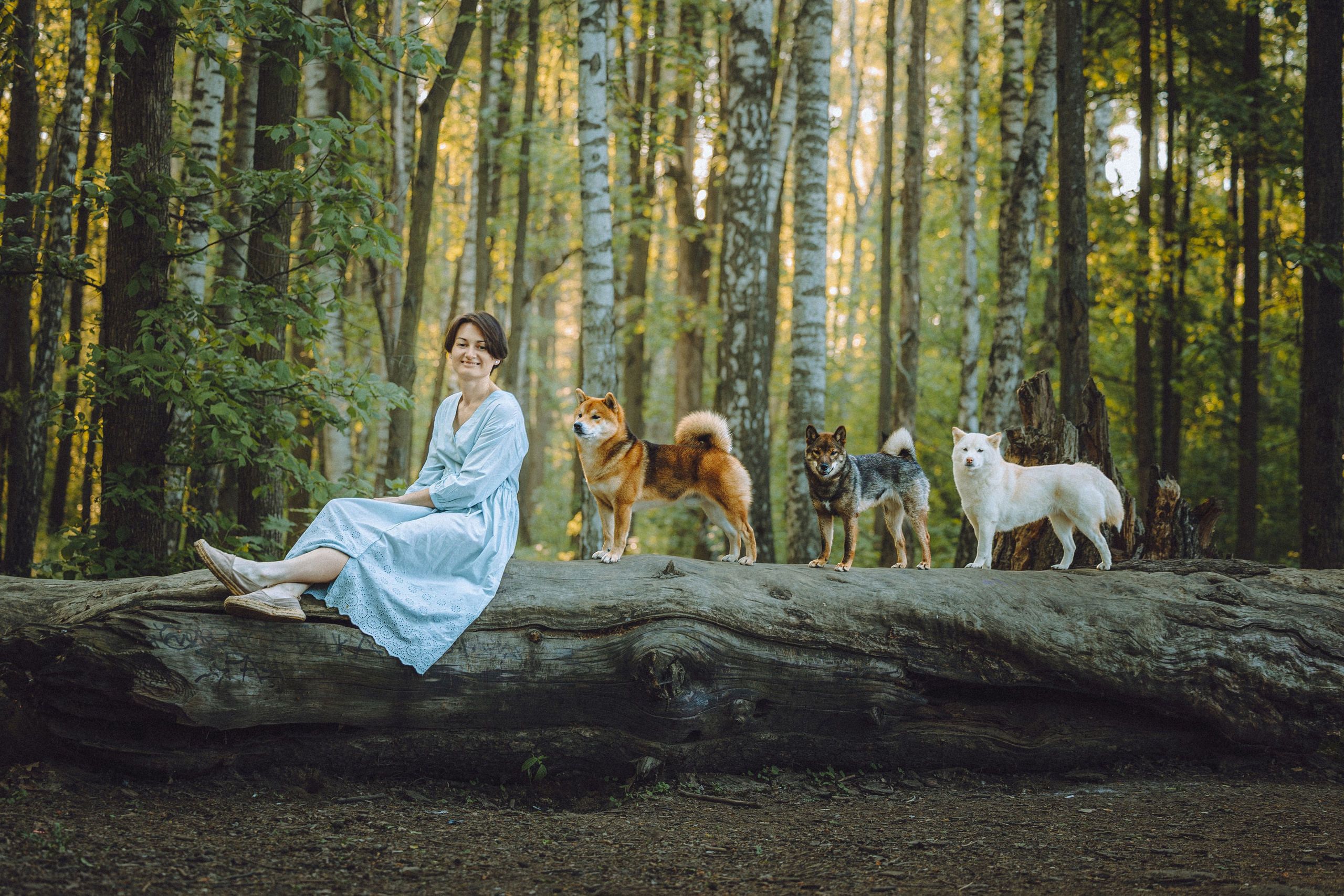 Шед, Цири, Чиби, Цера и их семья