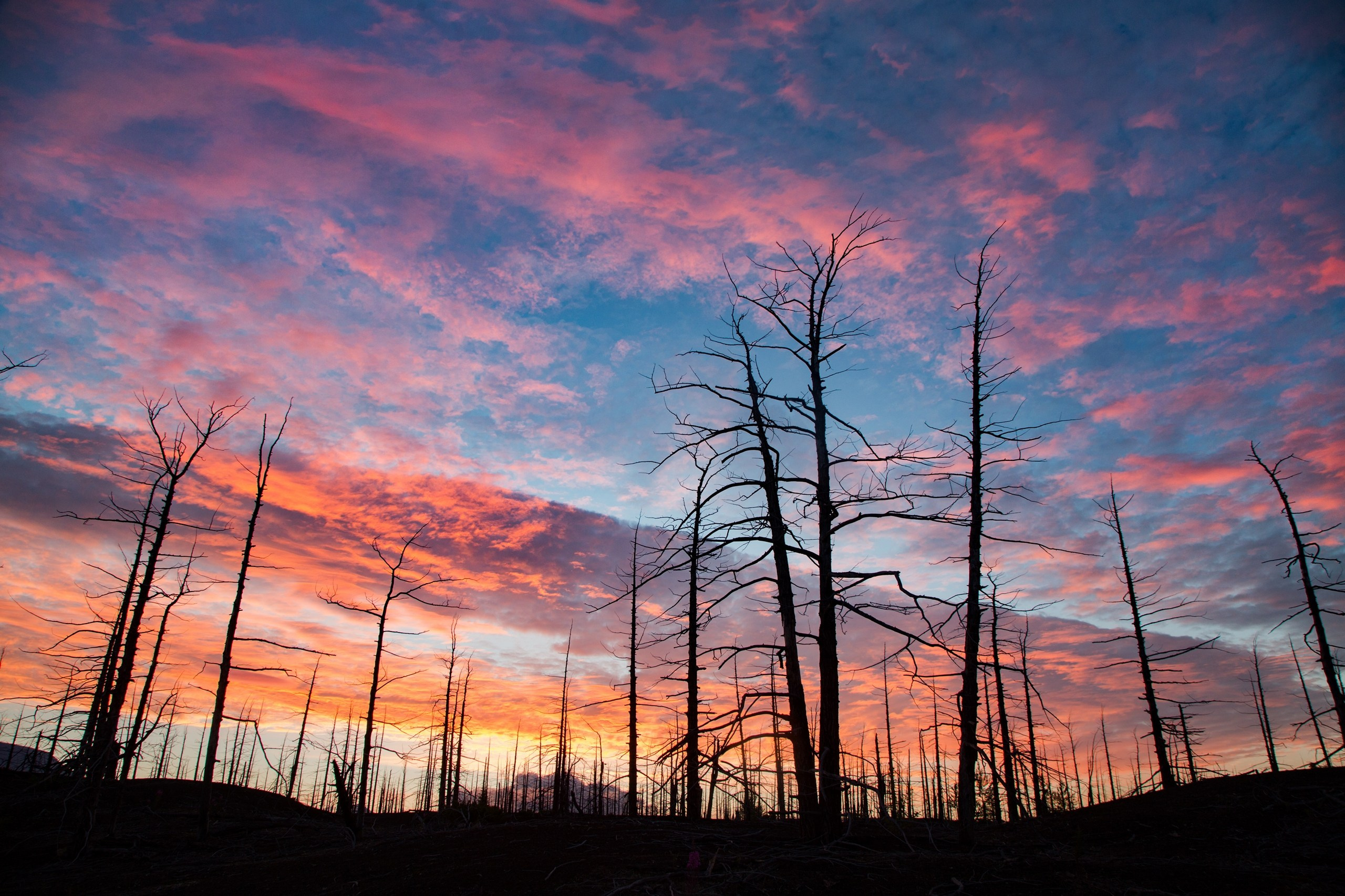 Камчатка. Фотограф Владимир Медведев