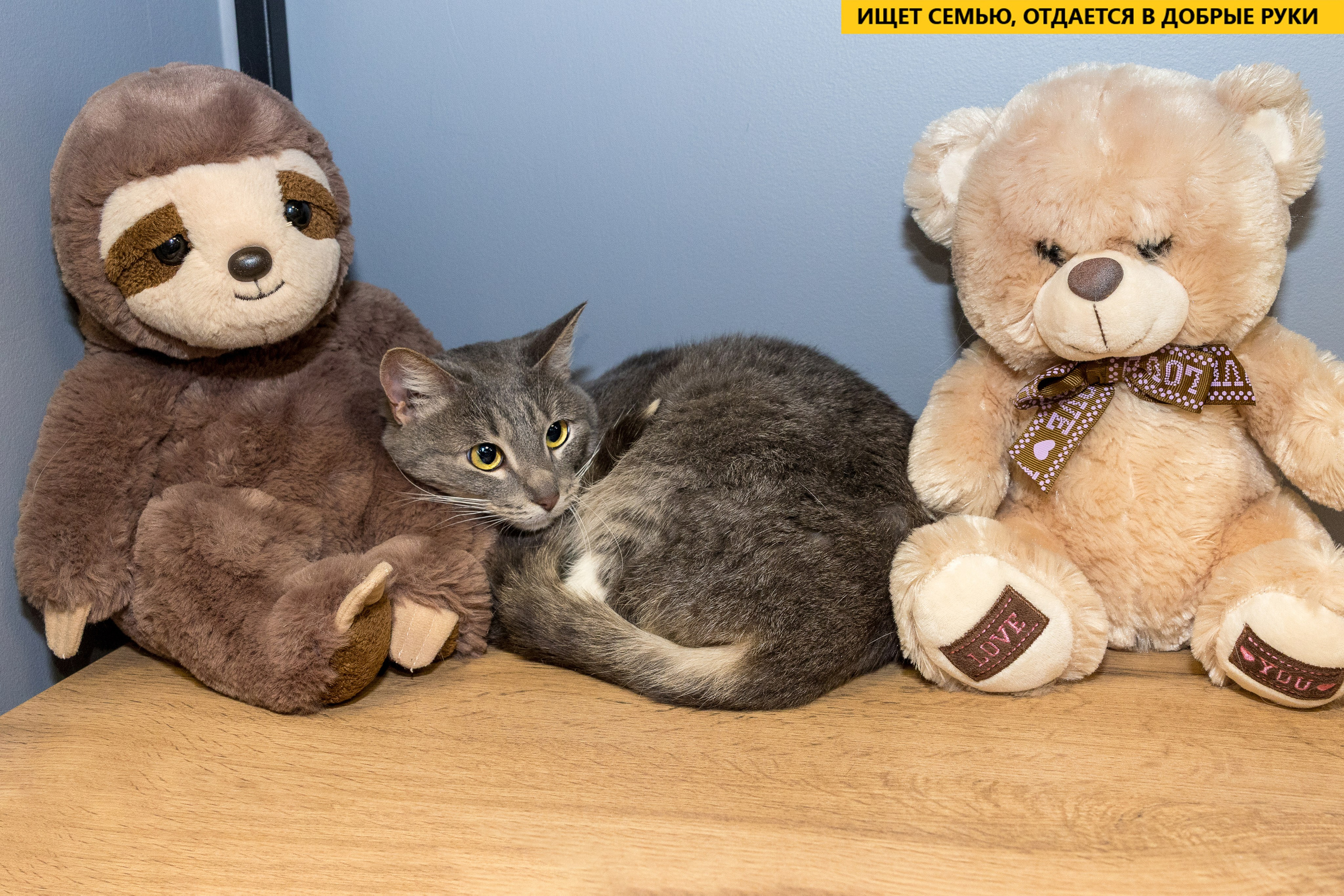 Рекламная съемка в Москве. Геннадий Степанов —фотограф в Москве