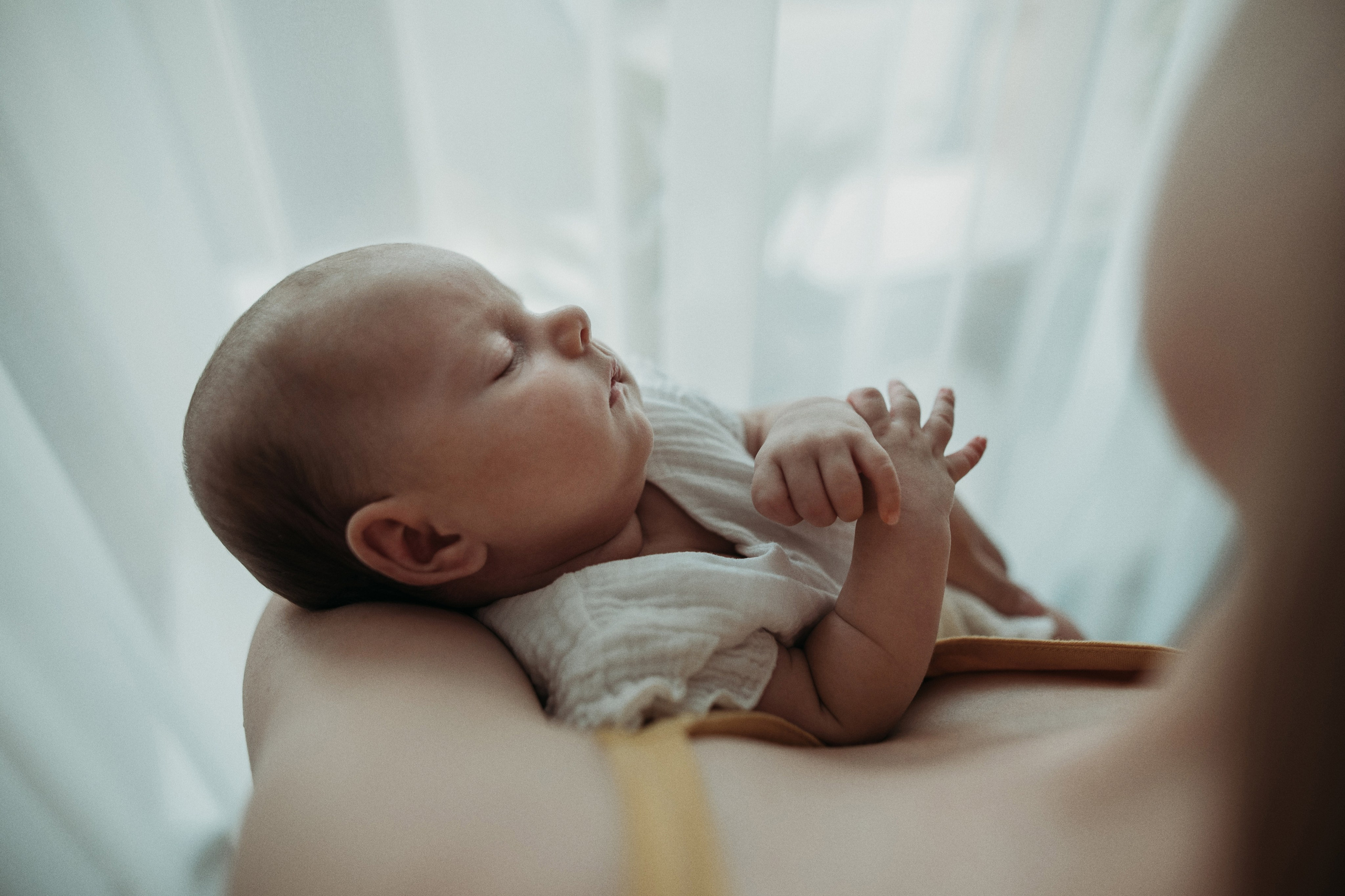 Катя, Ариша, Антон, Артем. Www.ostermiller.ru