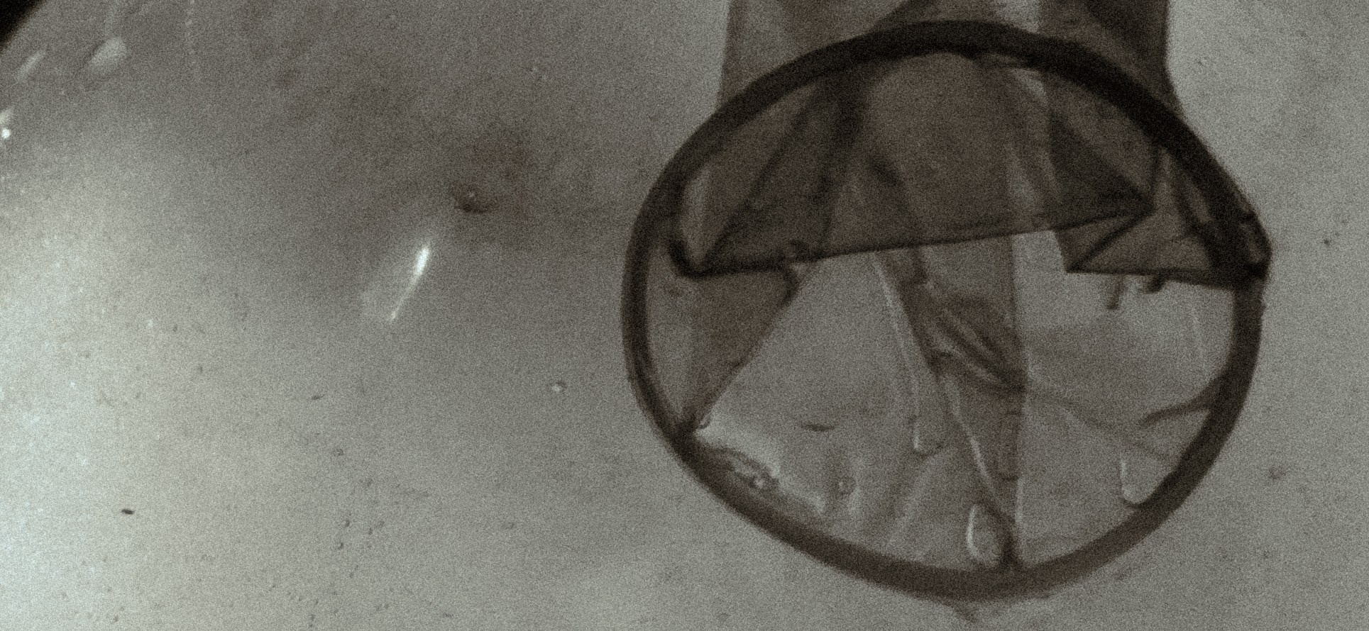 Condom. ME!R фотограф Красноярск