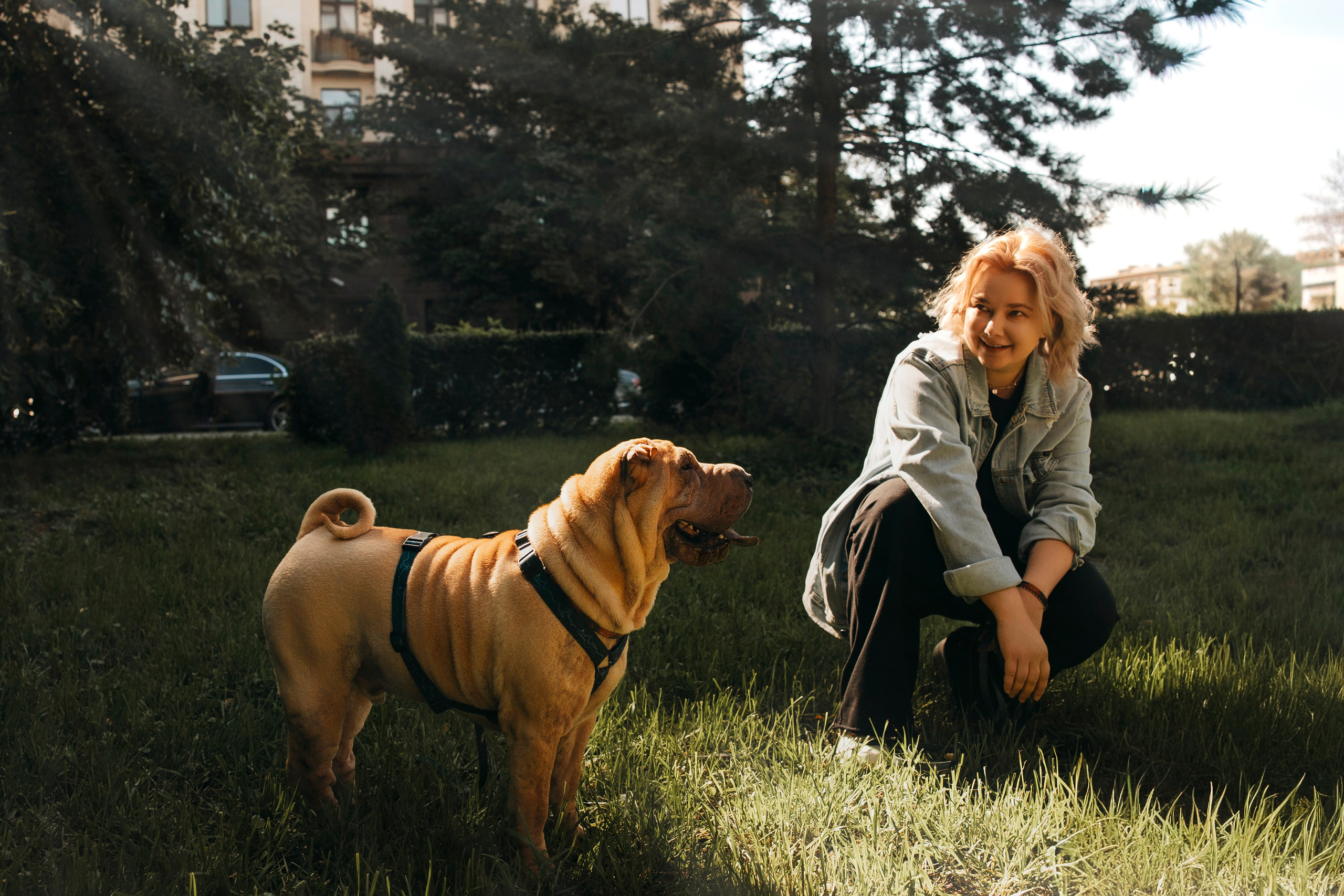 Аппа и его семья. Анастасия Белаш