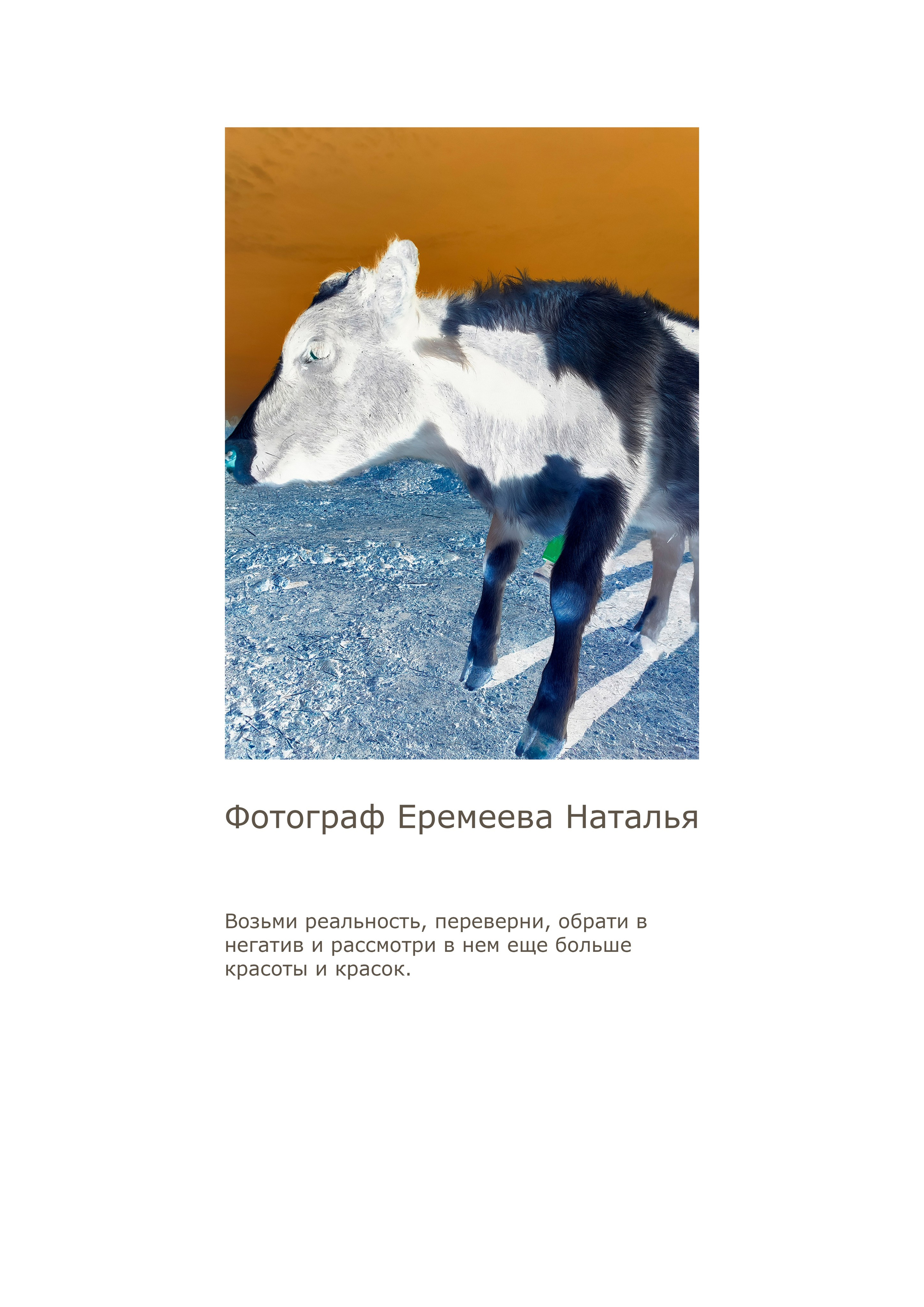 Инверсии. Выставка. Фотограф Новосибирск. Каталоги, портреты, портфолио