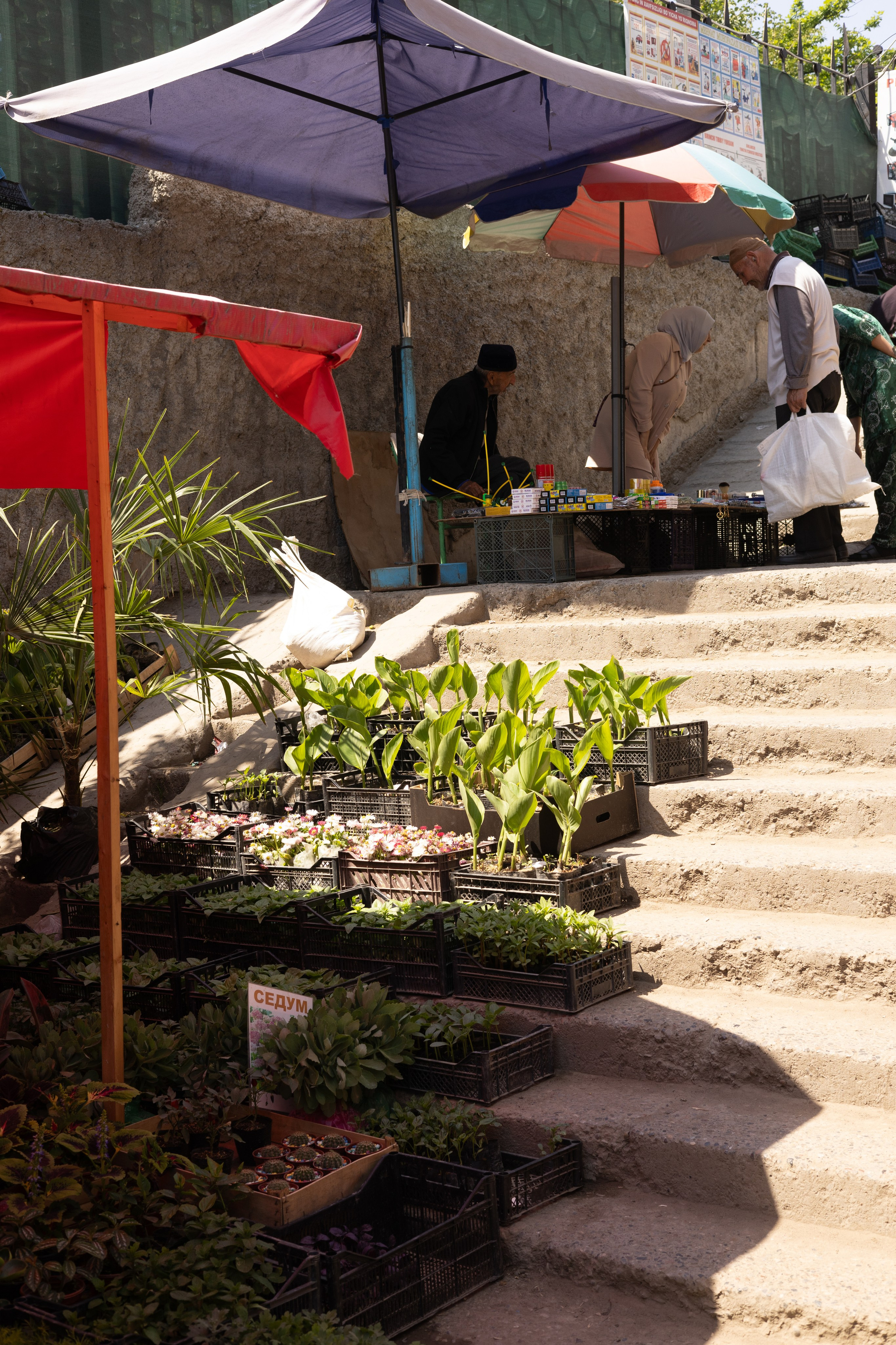 Uzbek series. Свадебный фотограф в Москве и Петербурге Анастасия Лосева