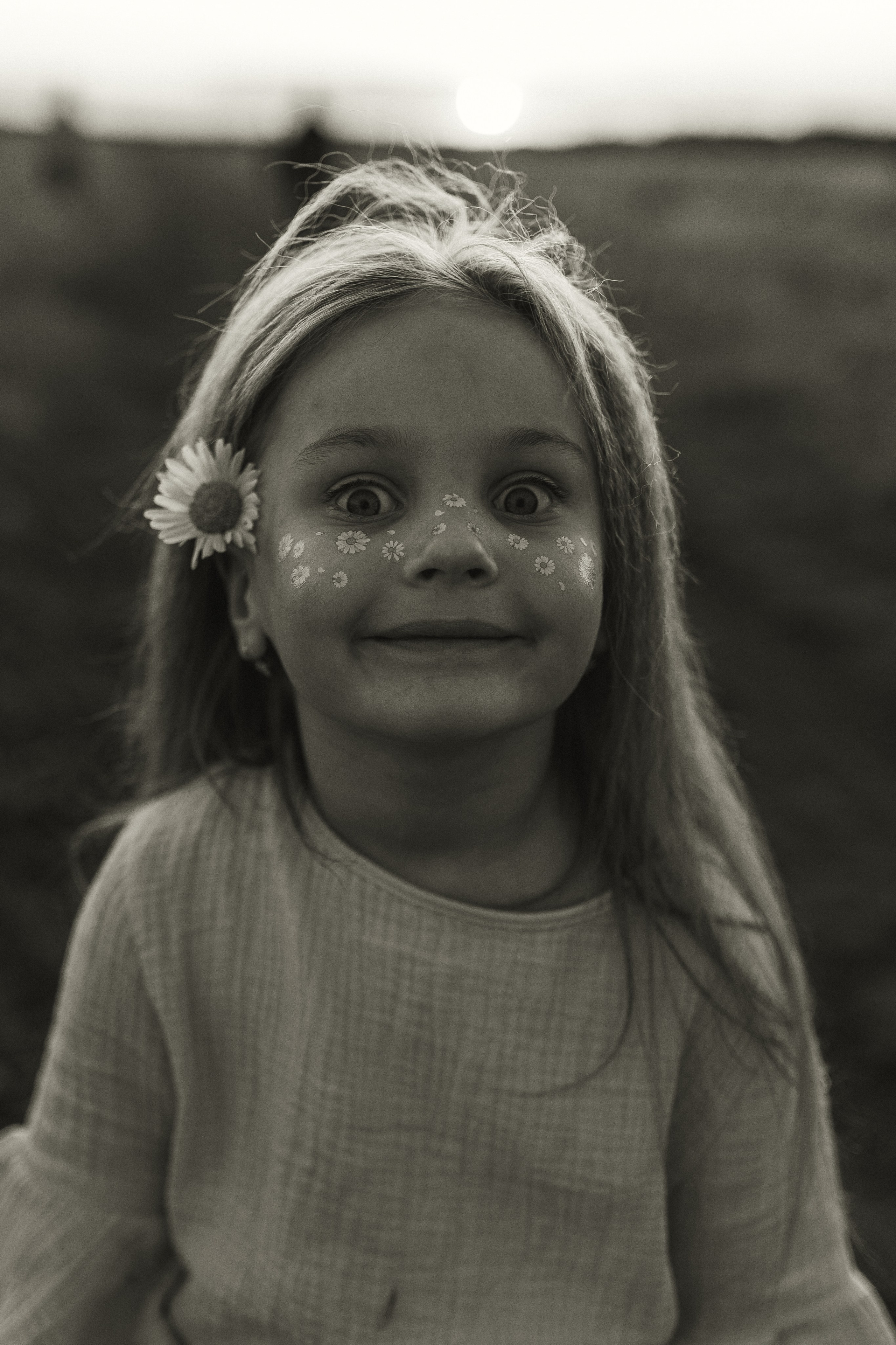 Закат на ромашковом поле. Фотограф в Ставрополе Svetlana Matveeva