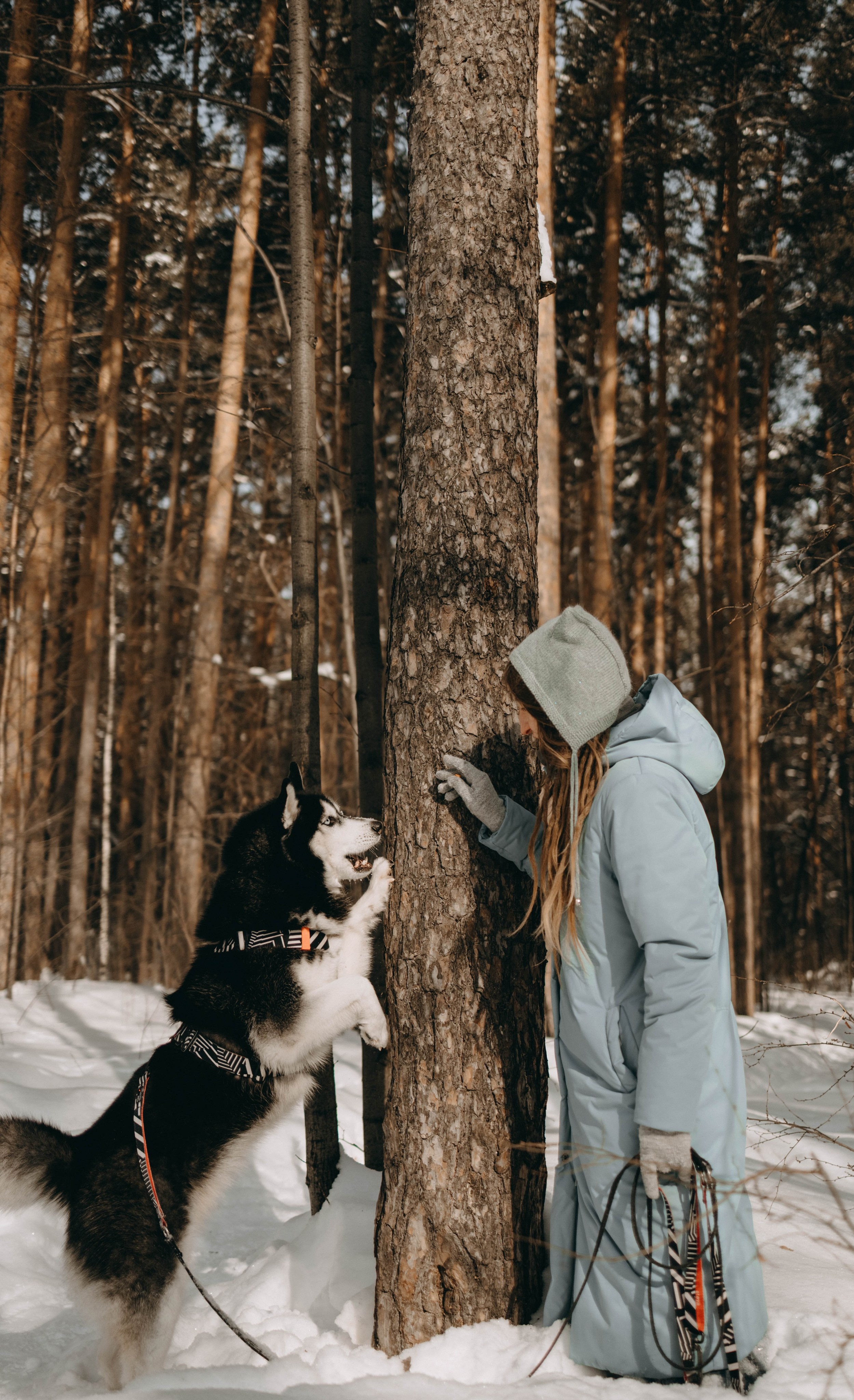 Анна и Вегас. Фотограф-анималист в Екатеринбурге | Кристина