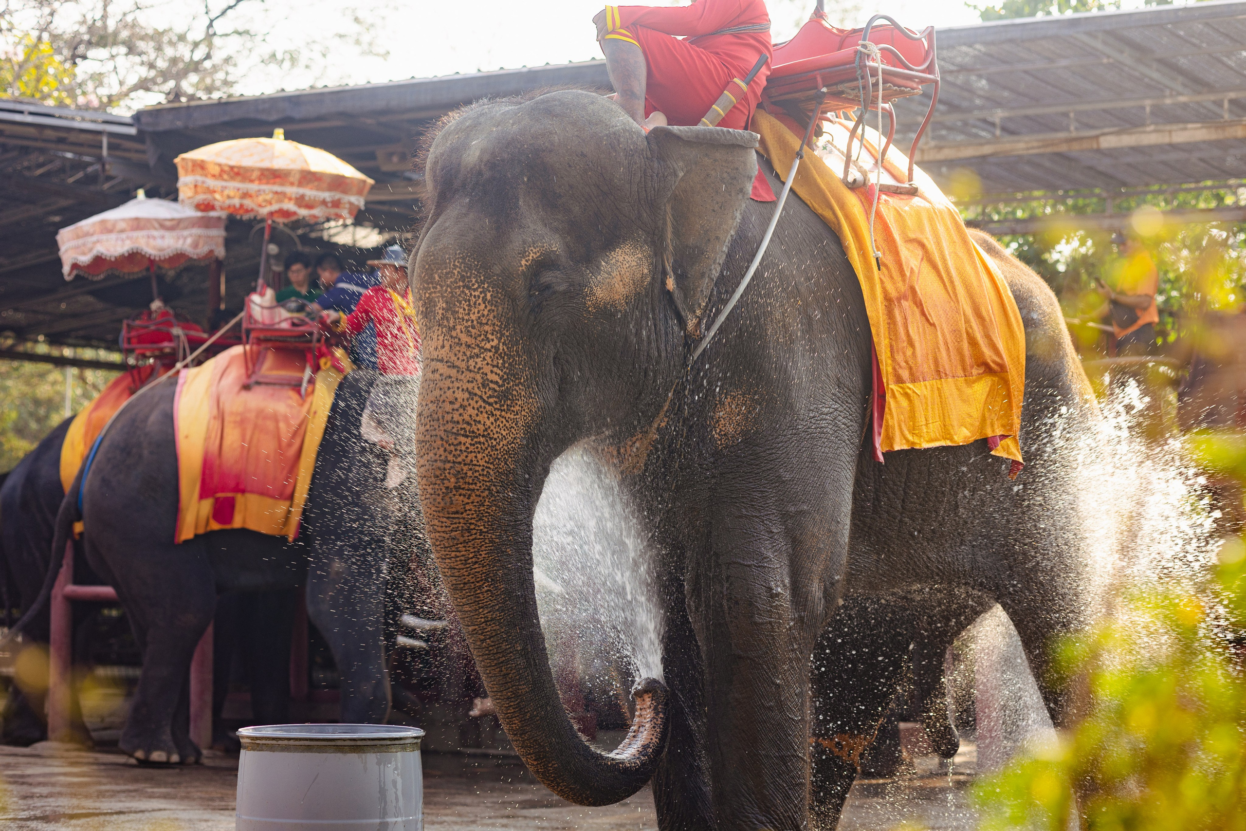 Ayutthaya. Photographer Sonkina Tatiana (Tanya Ash)