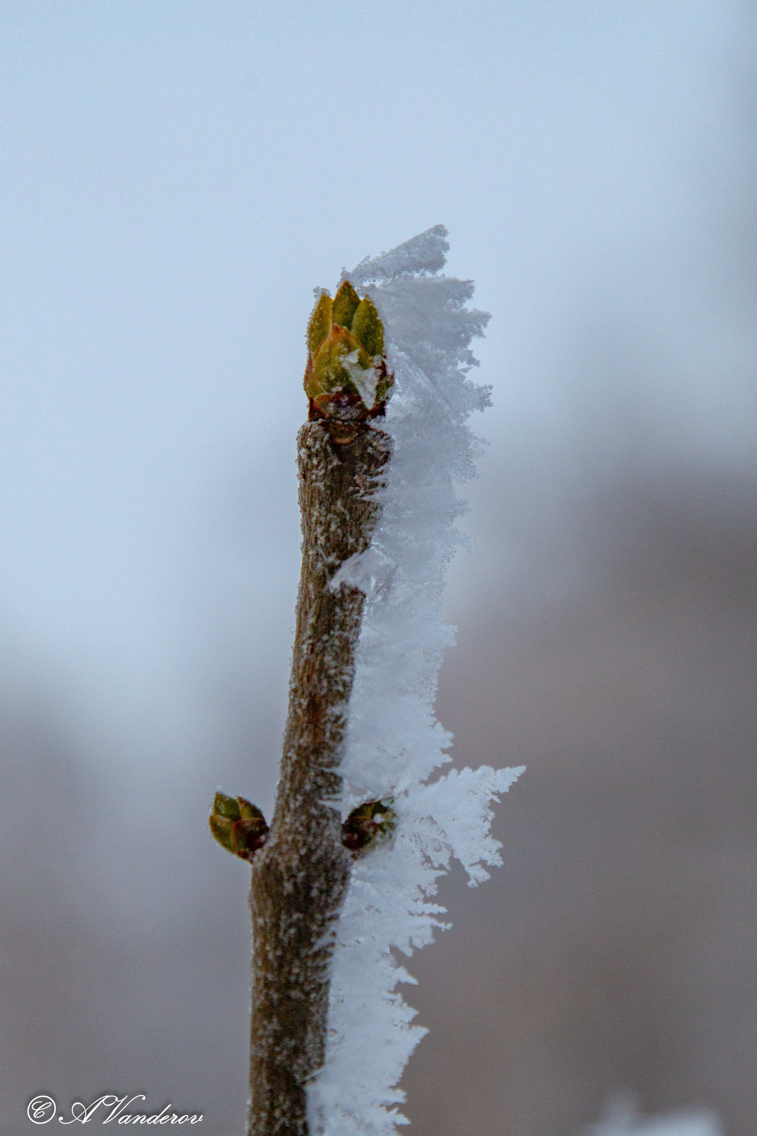 Красота природы. Фотограф Омск | Александр Вандеров
