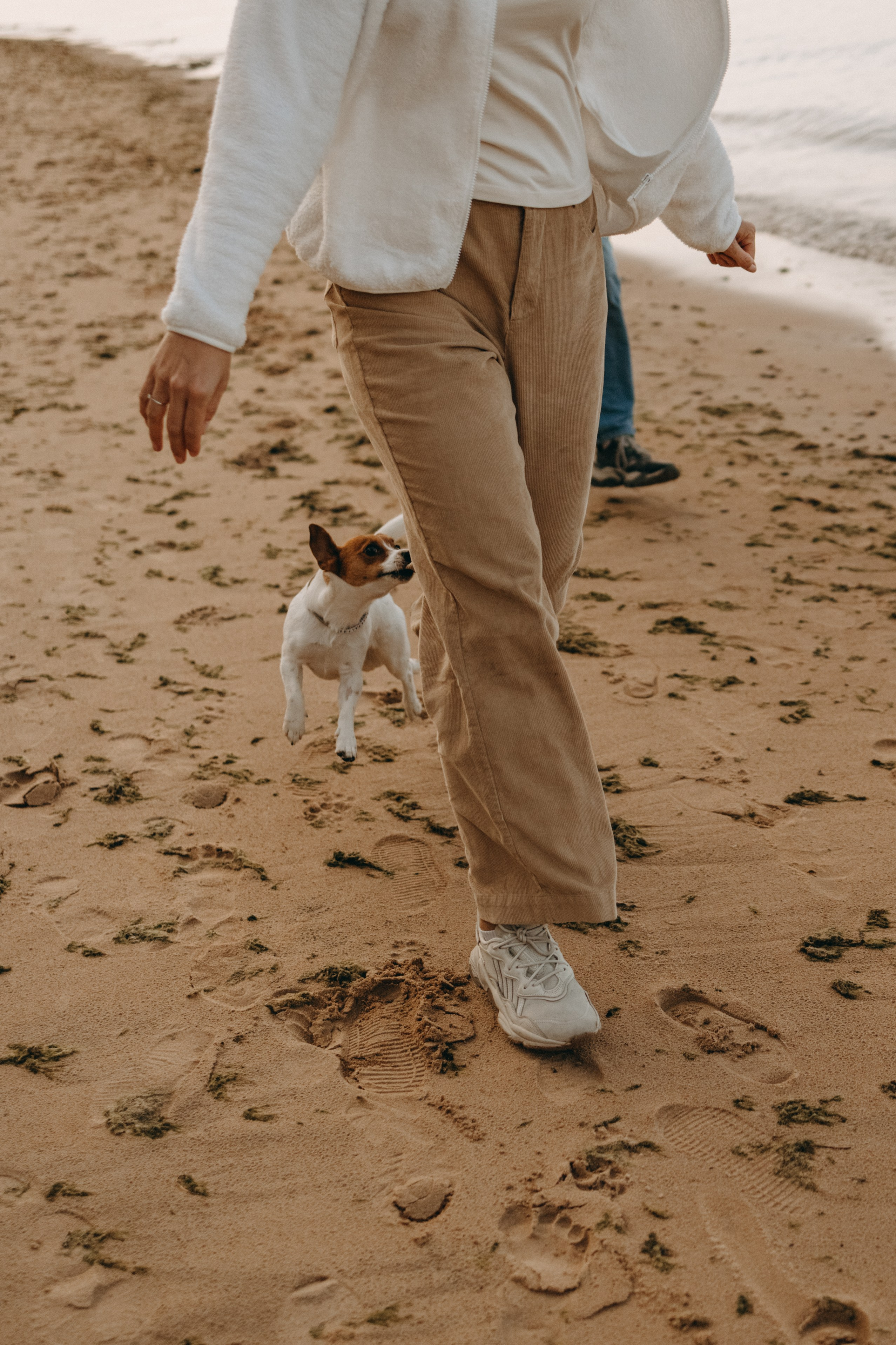 Лея и ее семья. Фотограф — Анималист | Санкт-Петербург