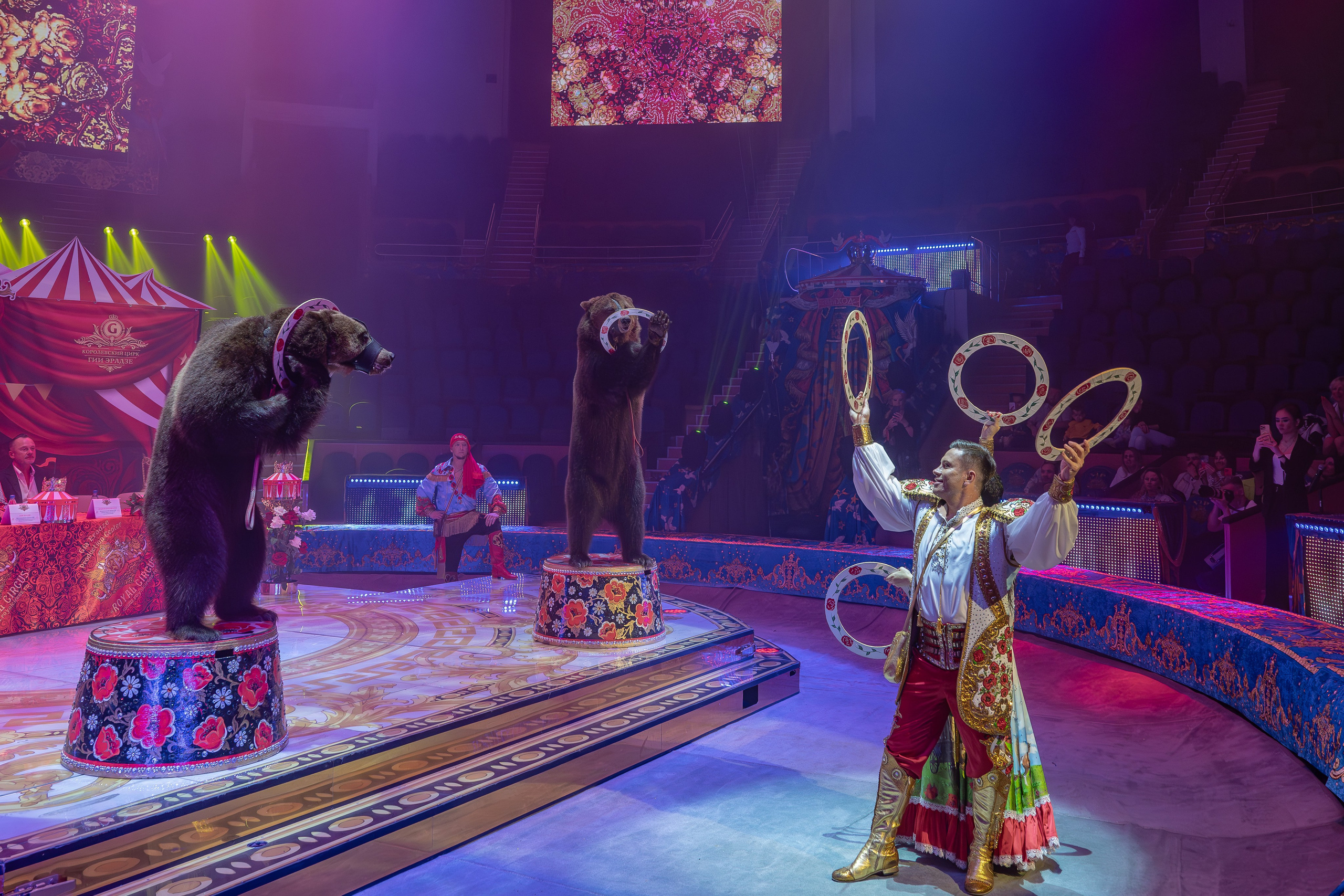 Цирк Гии Эрадзе. Наталья Слесаренко фотограф в Сочи