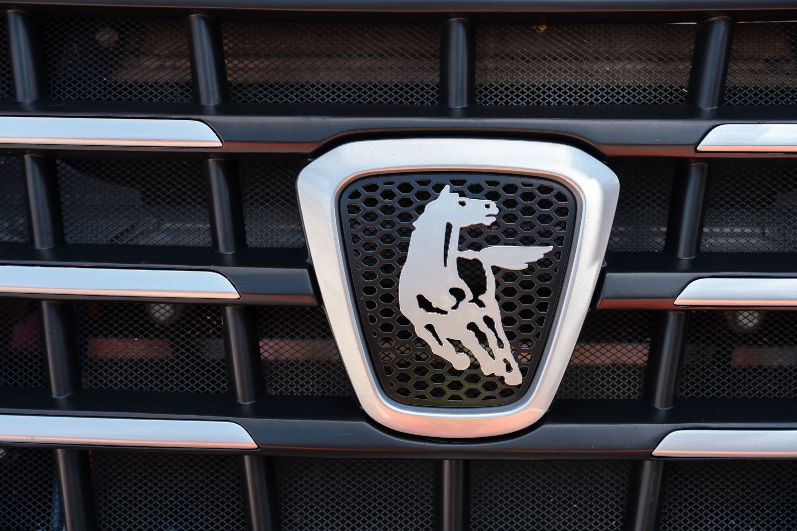 KAMAZ. Свадебный фотограф Санкт-Петербург СПб