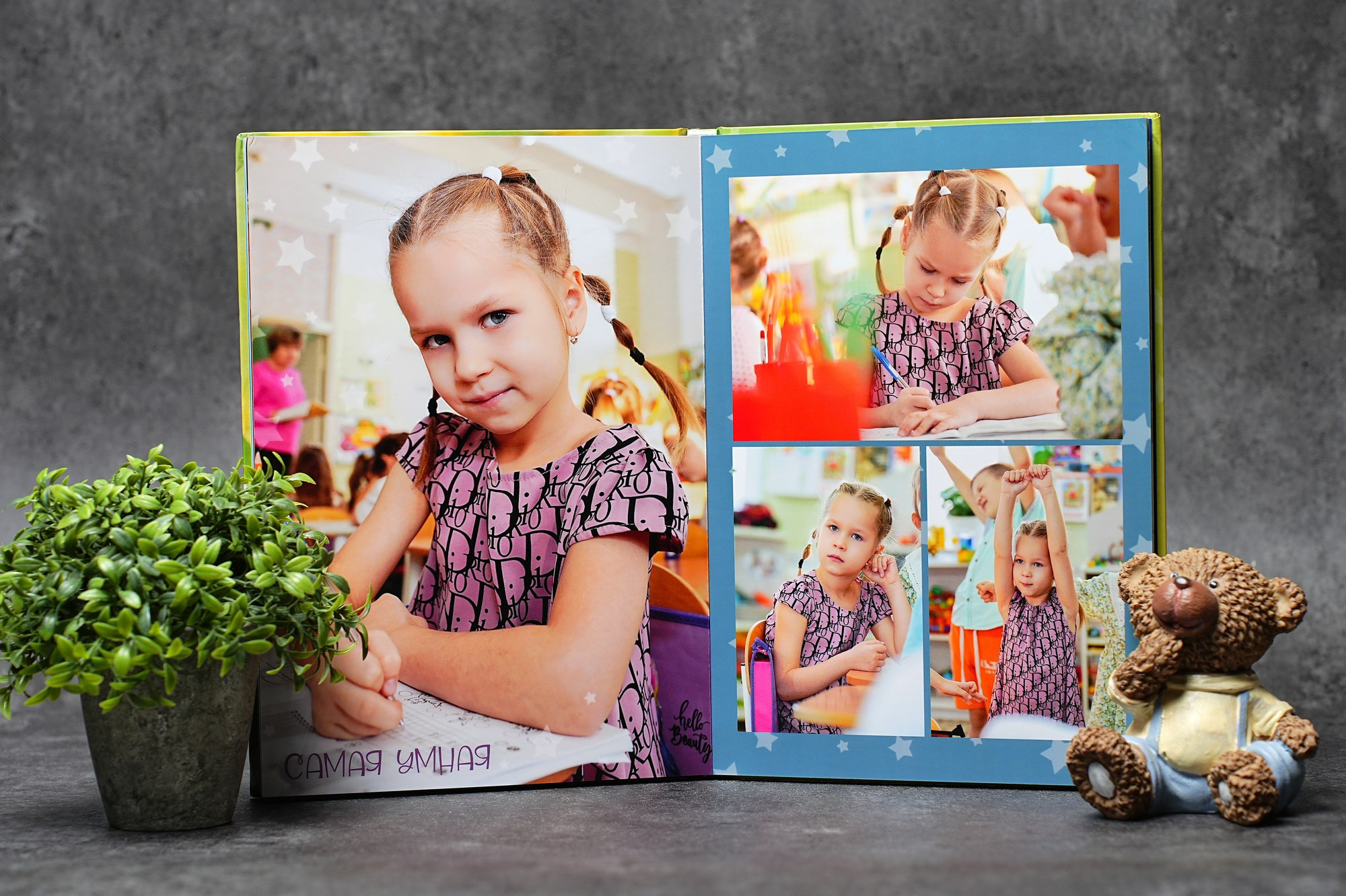 Мои контакты