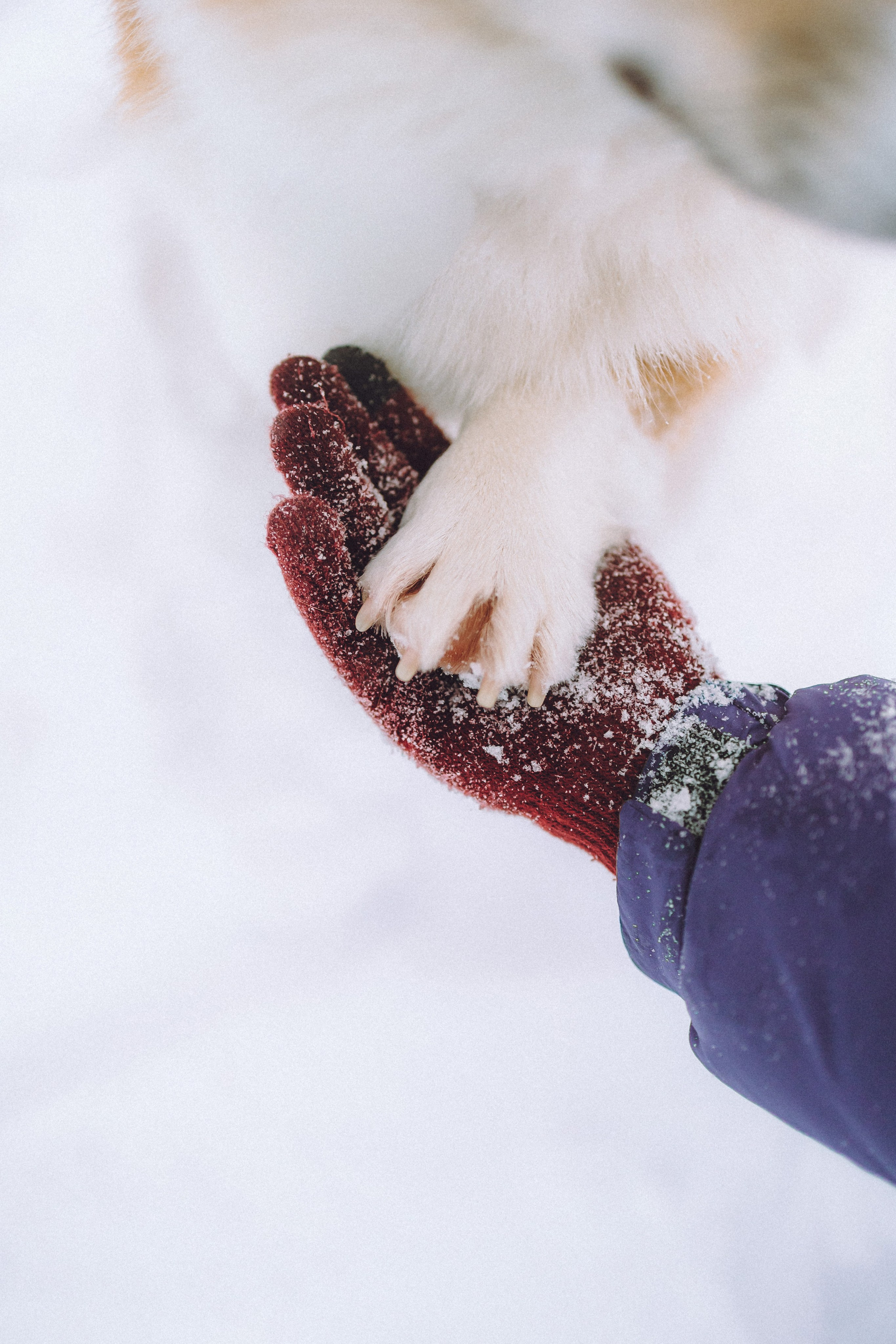 Юля и Юпитер