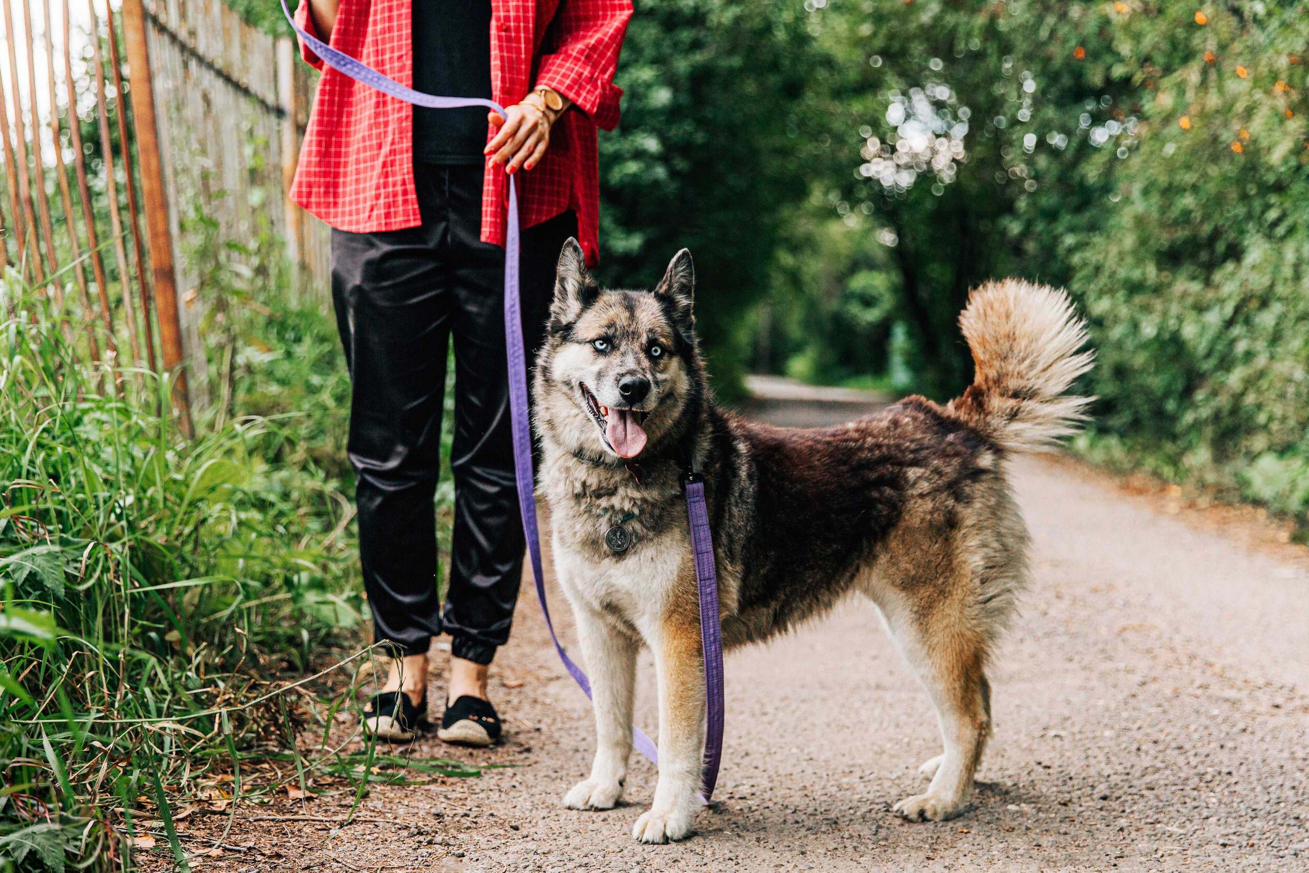 Скай. Фотограф-анималист в Москве Соломонова Варвара