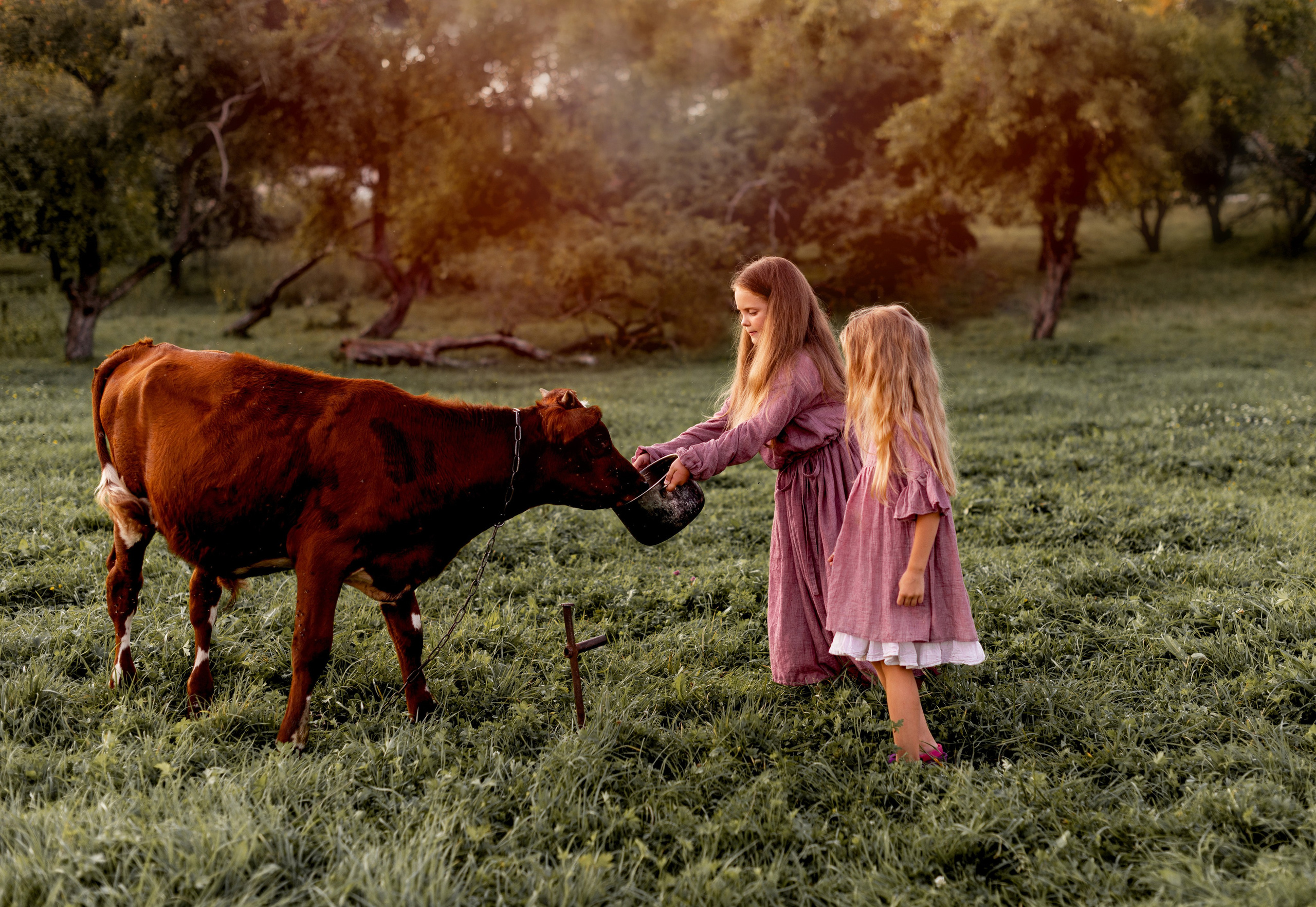 Семейная фотосъемка. Семейный фотограф Псков. Спб.|Анастасия Войналович
