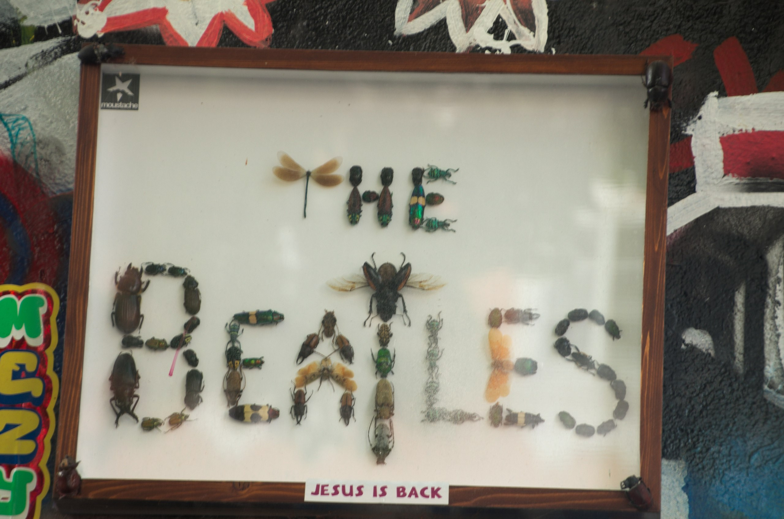 Чехия | 06-09.05.2017. Галерея Фантим