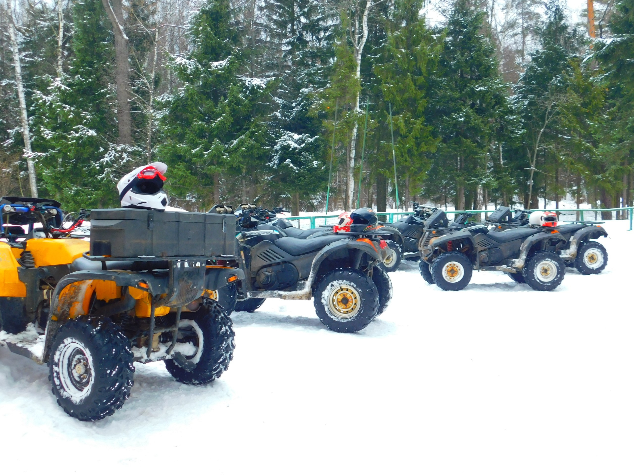 Зимний картинг | 30.01.2021. Галерея Фантим