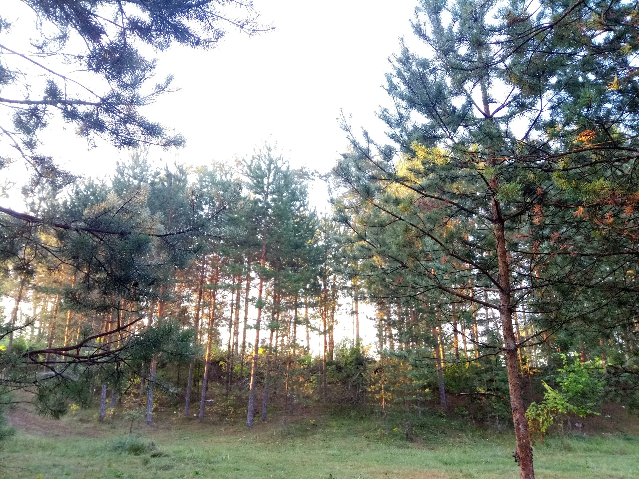 Походная Романтика 30. Музыкальный шторм | 17-19.08.2018. Галерея Фантим