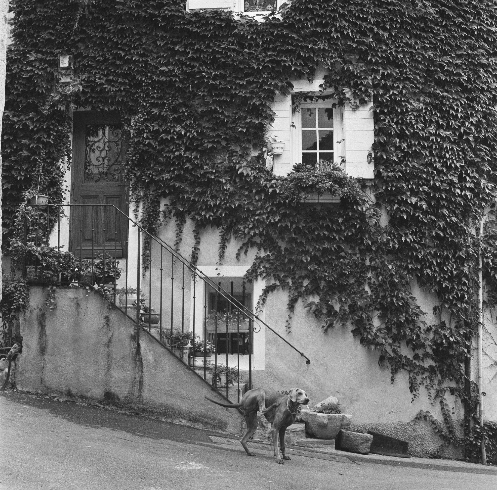 LANDSCAPE. Portrait and business photographer in Moscow Andrey Nikolsky