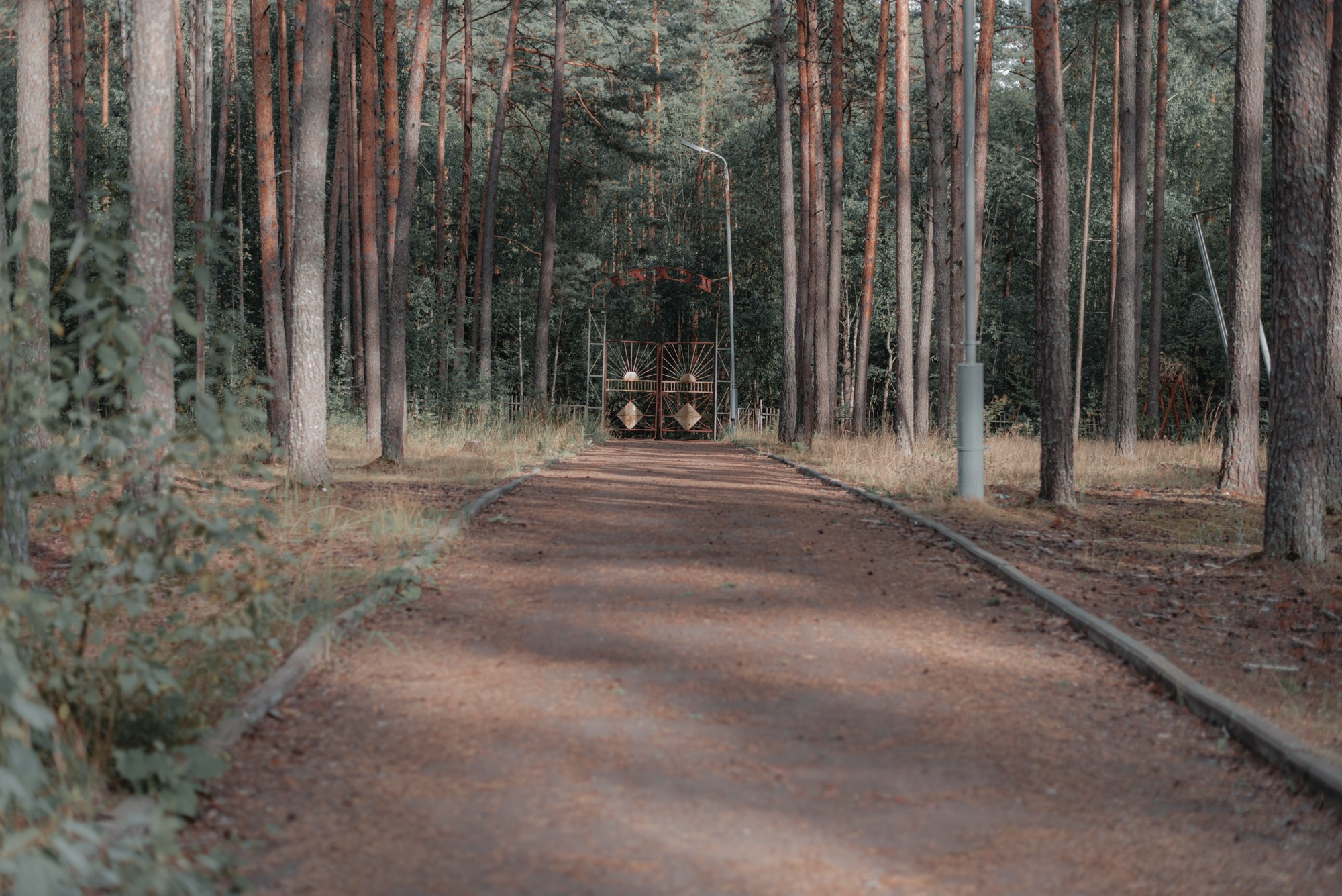 Лето в пионерском галстуке. Репортажный и портретный фотограф в Твери Ольга Борисова