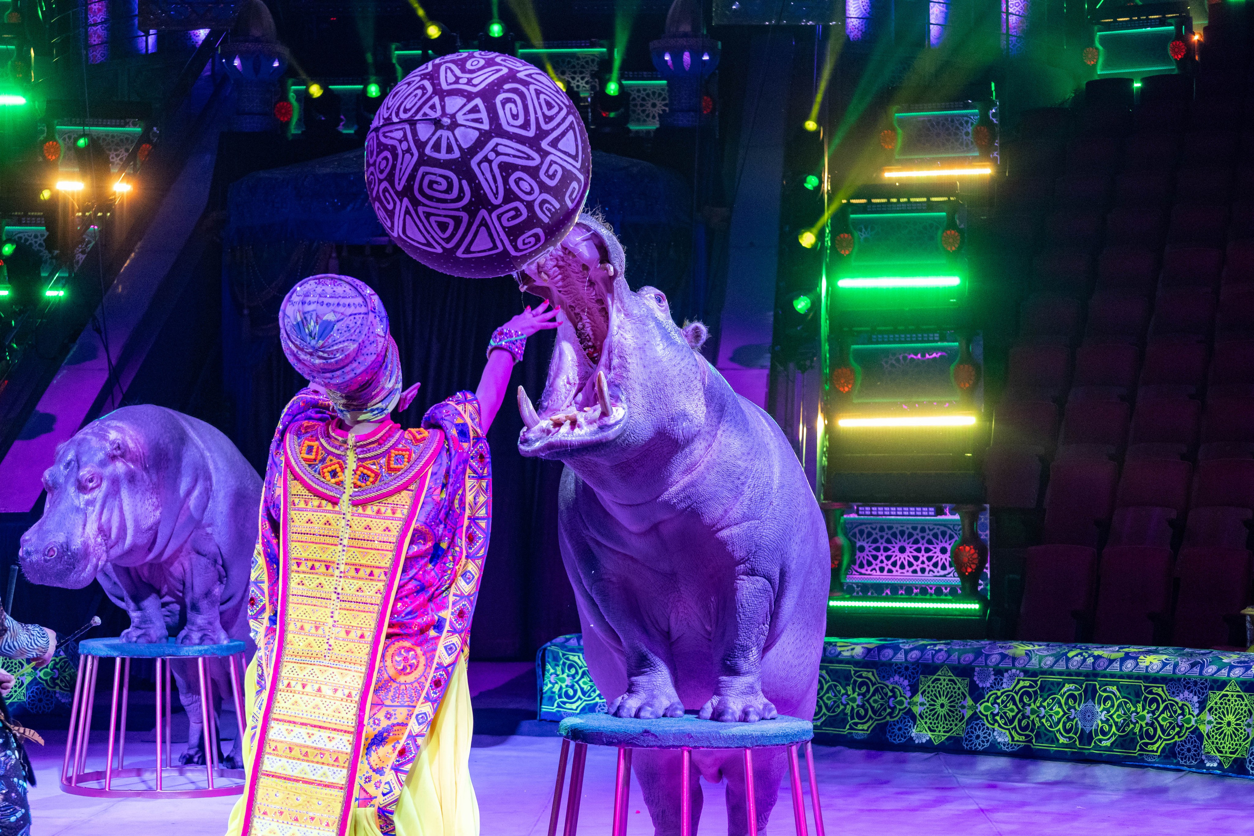 Цирк Гии Эрадзе «Песчаная Сказка». Ваш фотограф в Нижнем Новгороде