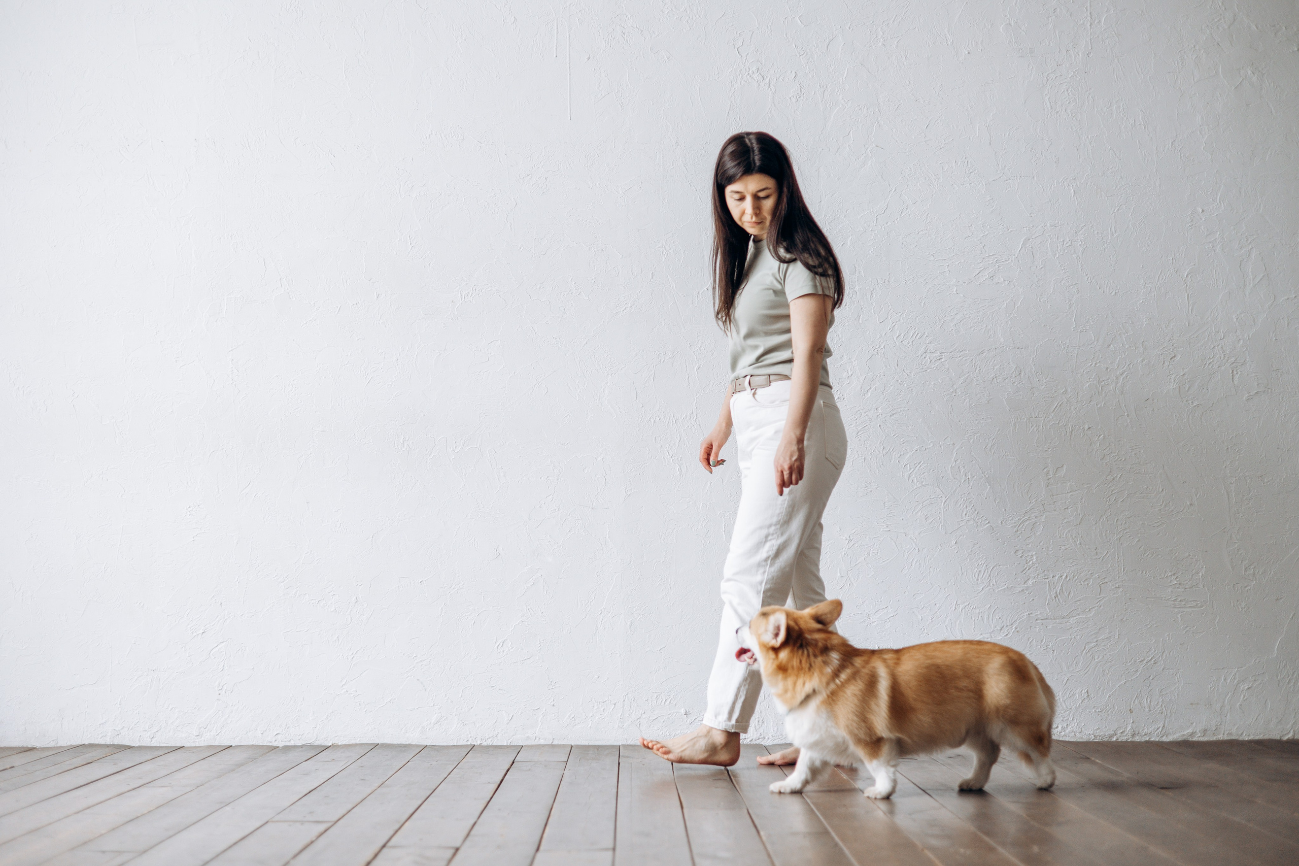 Ричи и его семья. Фотограф — Анималист | Санкт-Петербург