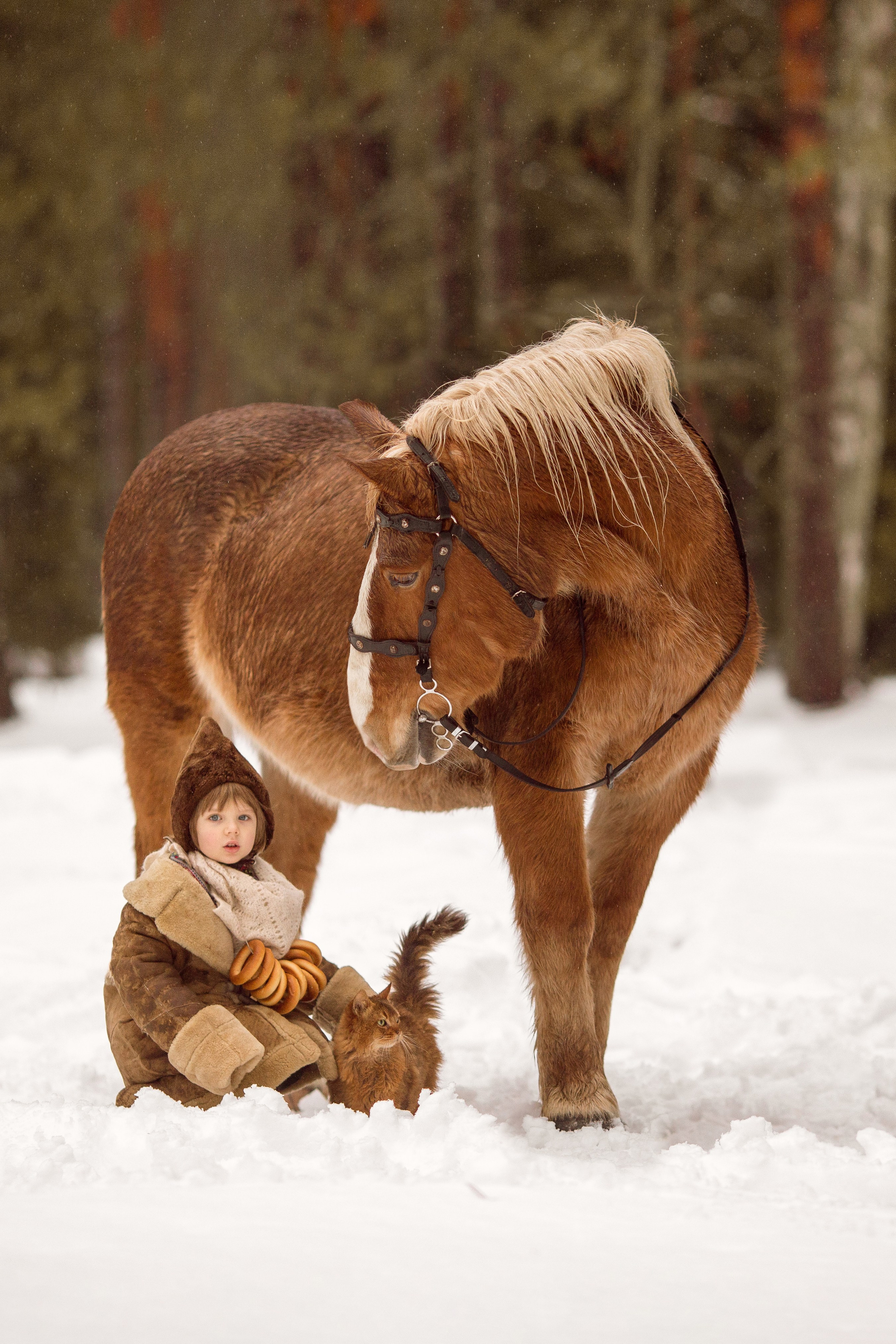 Фото мальчика и лошади зимой