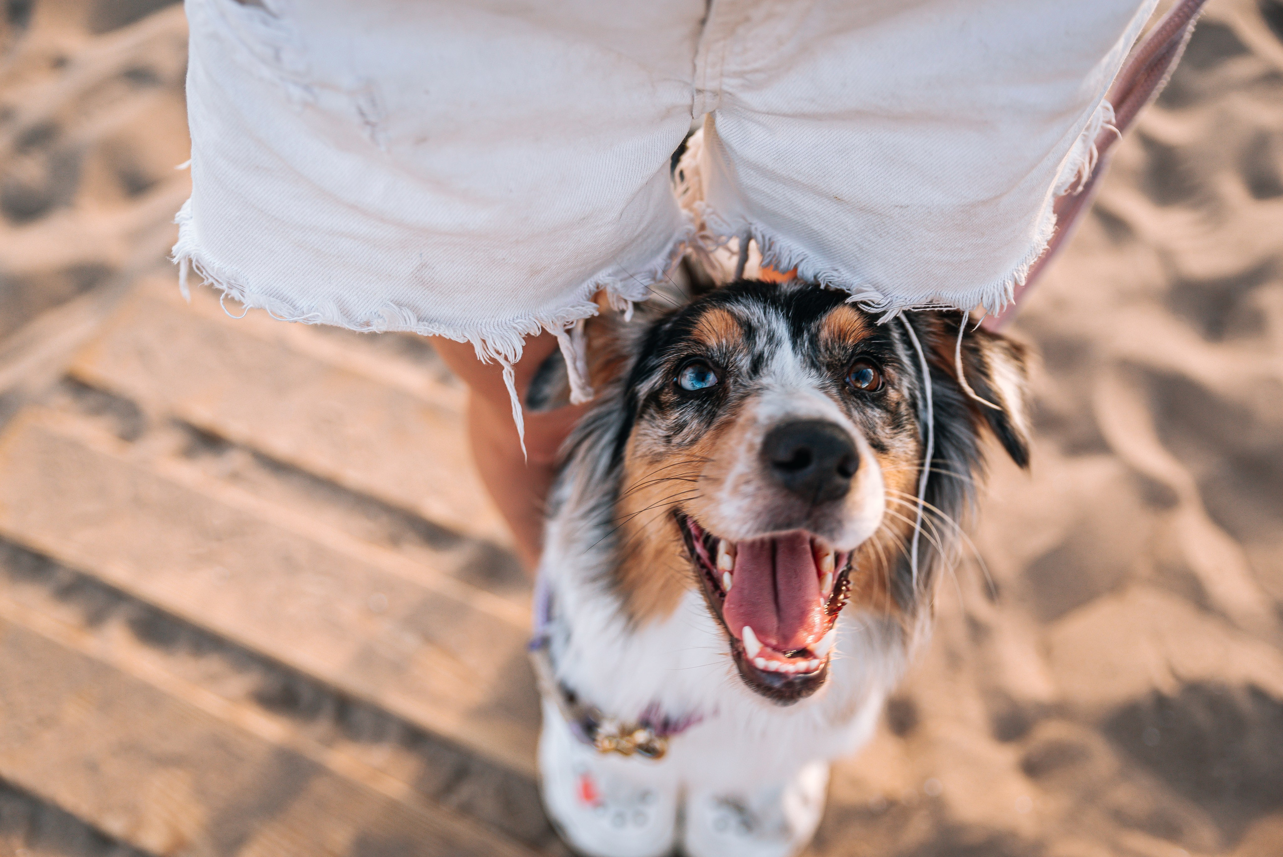 No Bad Days. Главная