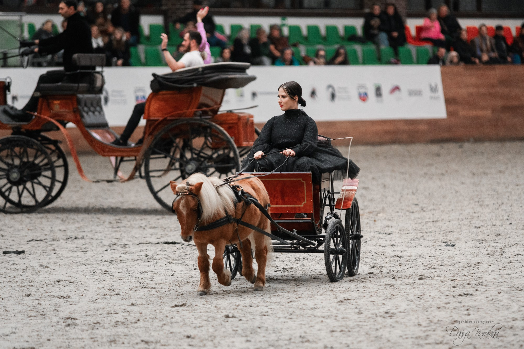 8-я международная выставка Конная Россия. Конный фотограф Куракина Дарья • Фотосессии с лошадьми