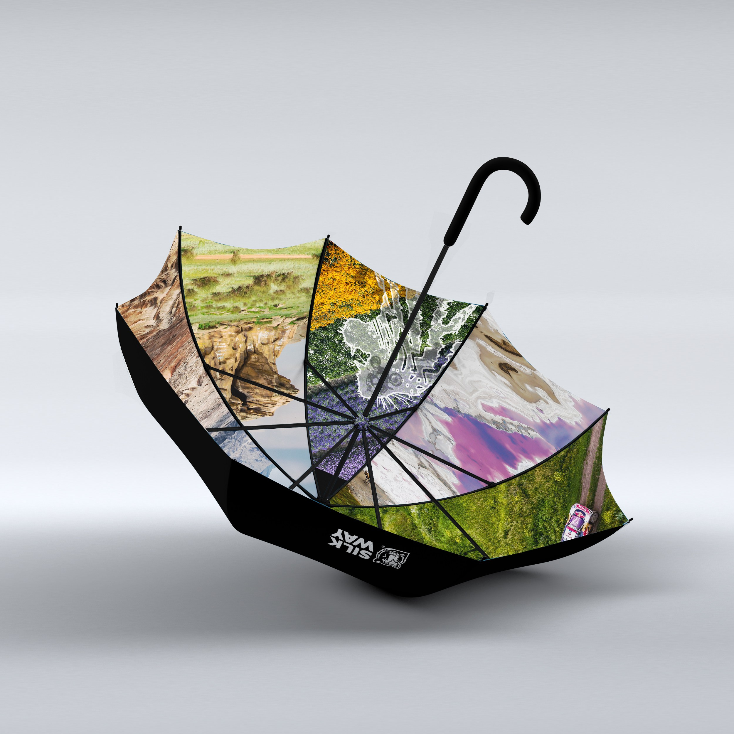 SILK WAY RALLY. Портфолио