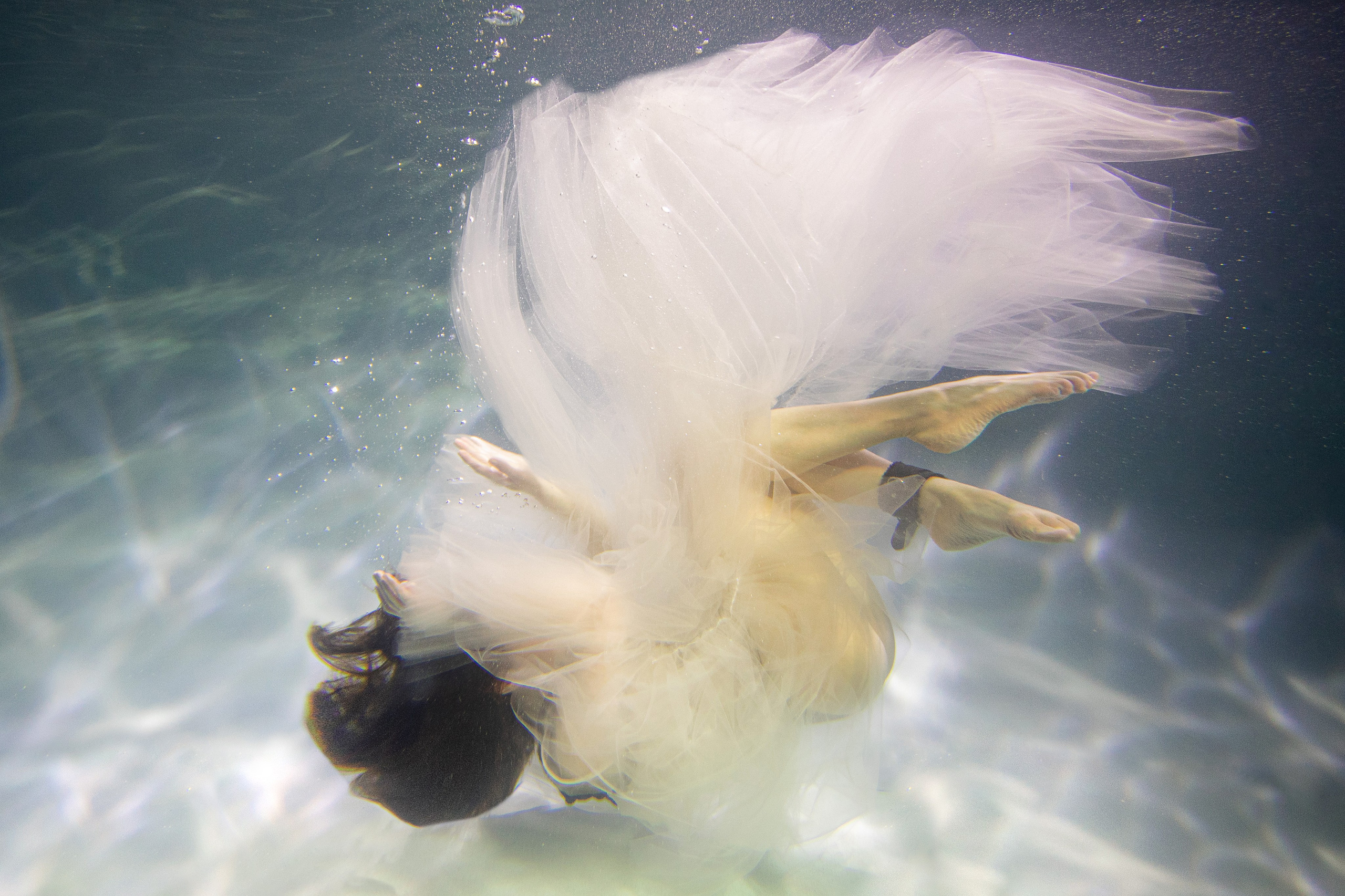 Аква общая. Марковкина КрисТина