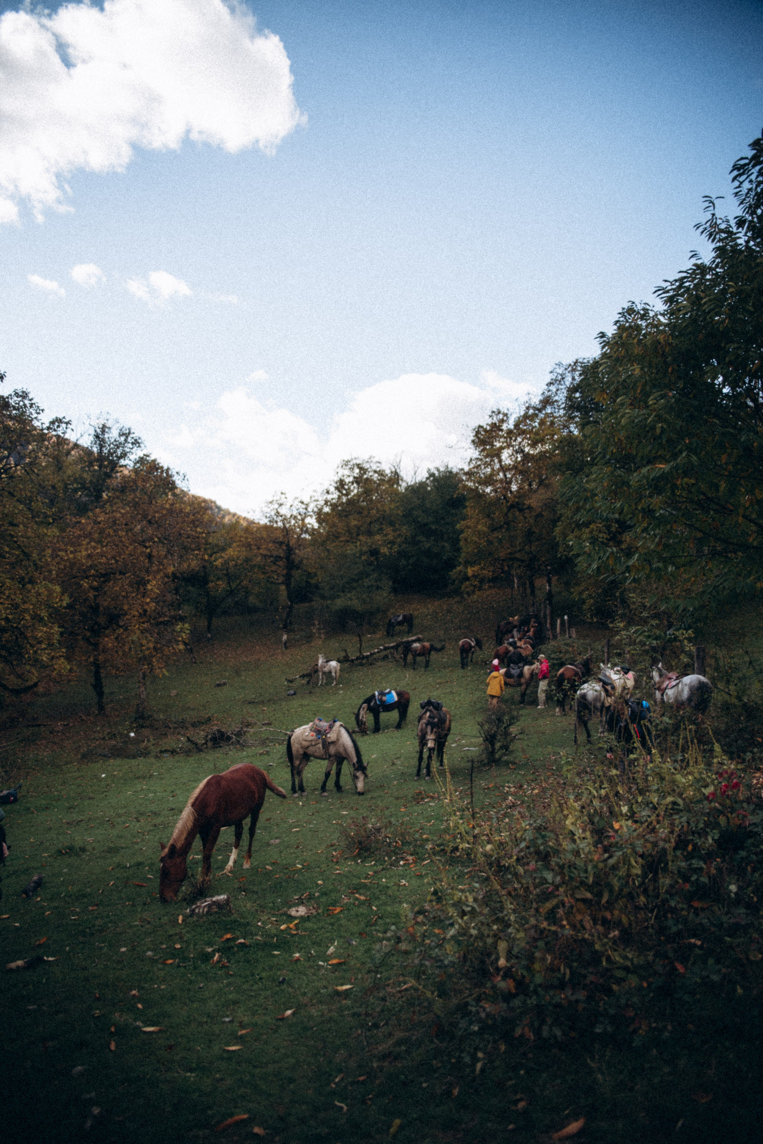 Конный поход 🇬🇪 «PVD Club». Anita_photo