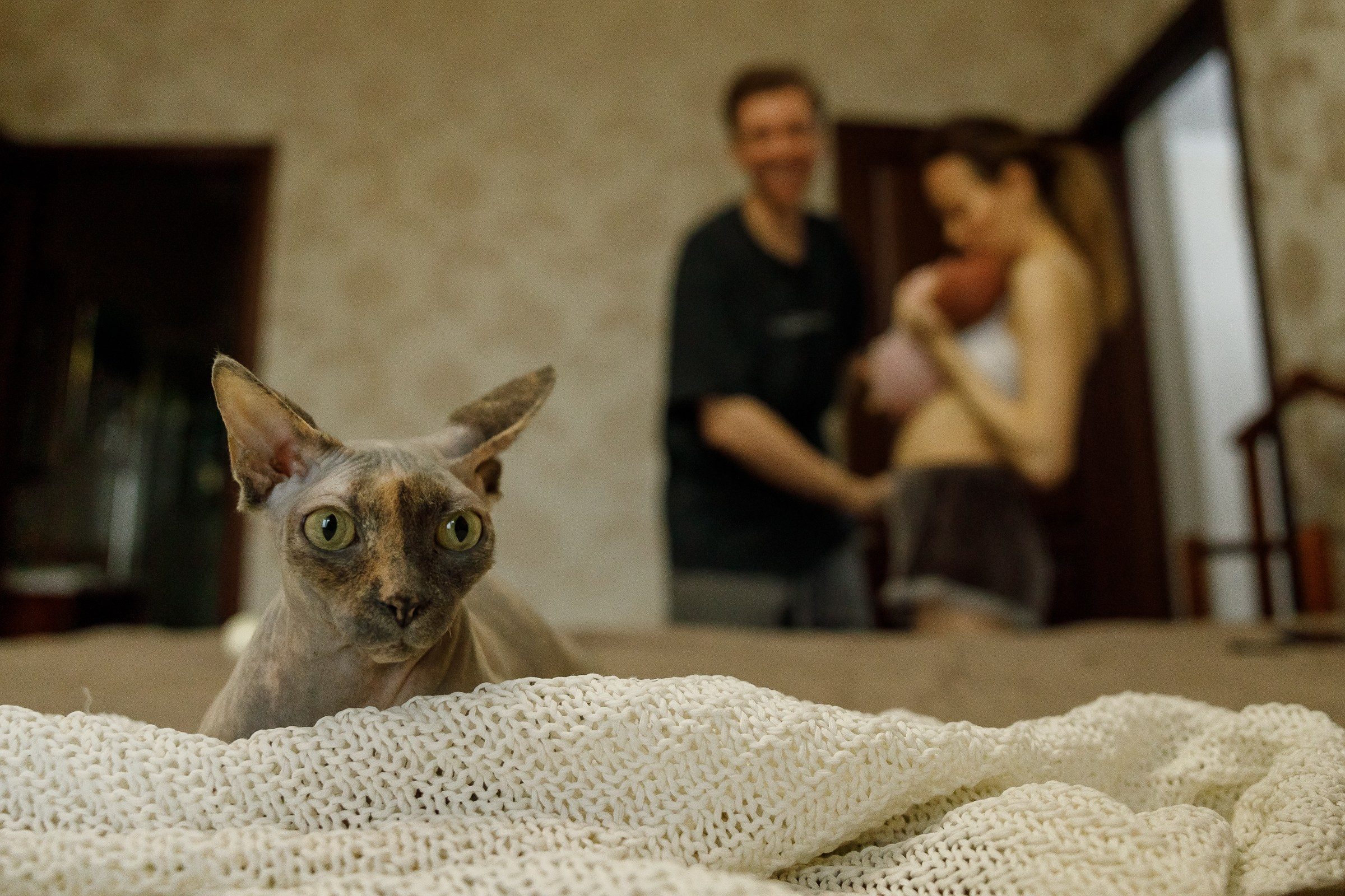 Месяц Александре. Фотограф Москва