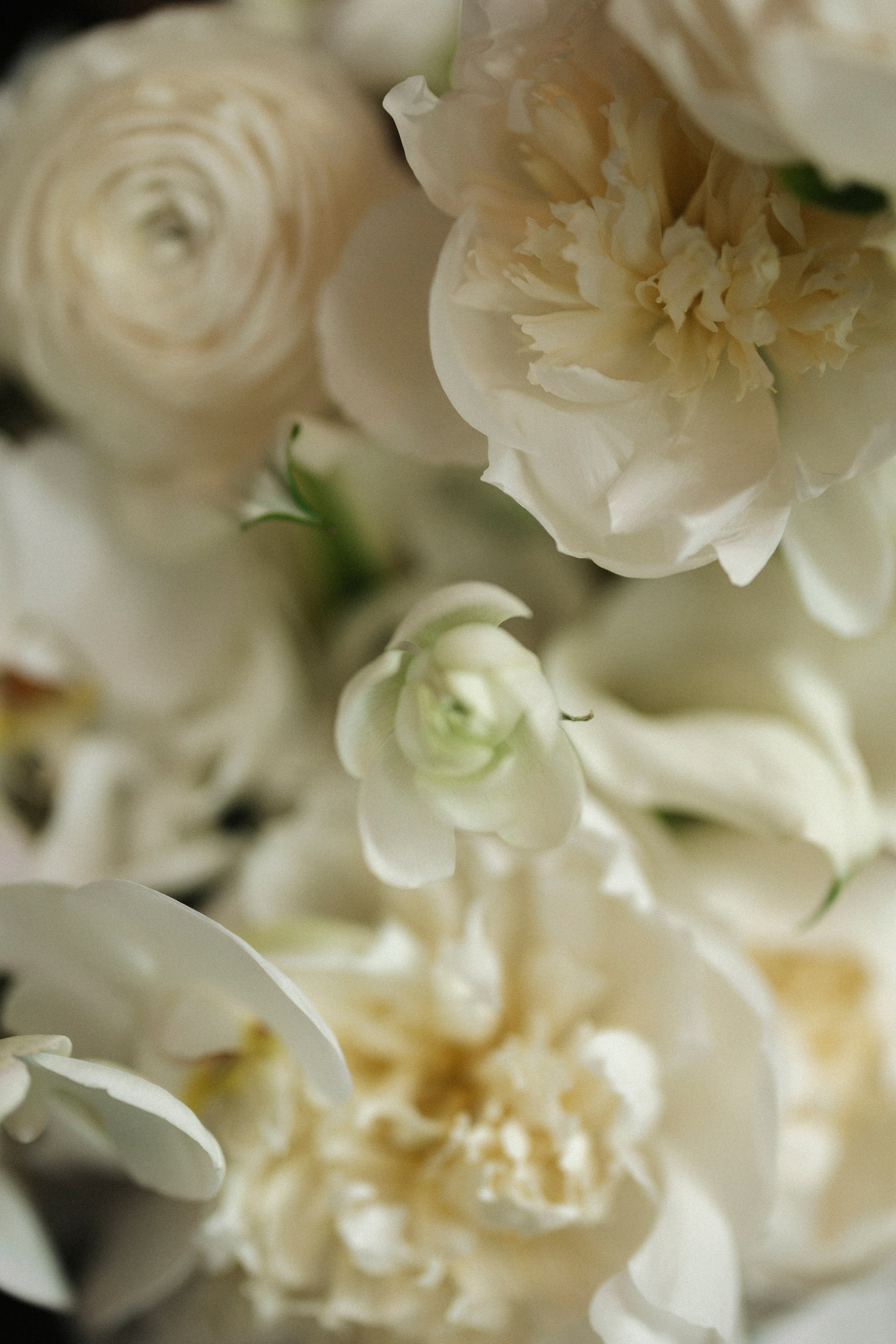 Лев и Кристина. Свадебный фотограф Москва Мотеюнайте Виктория