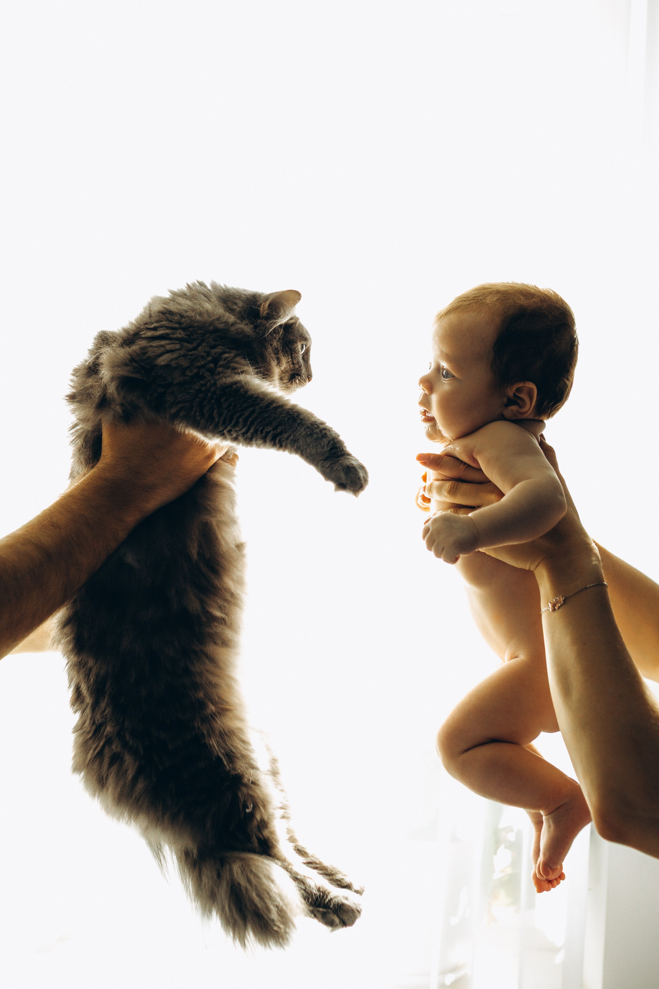 Family moments. Семейный фотограф и фотограф на роды в Ростове-на-Дону Мухина Виктория