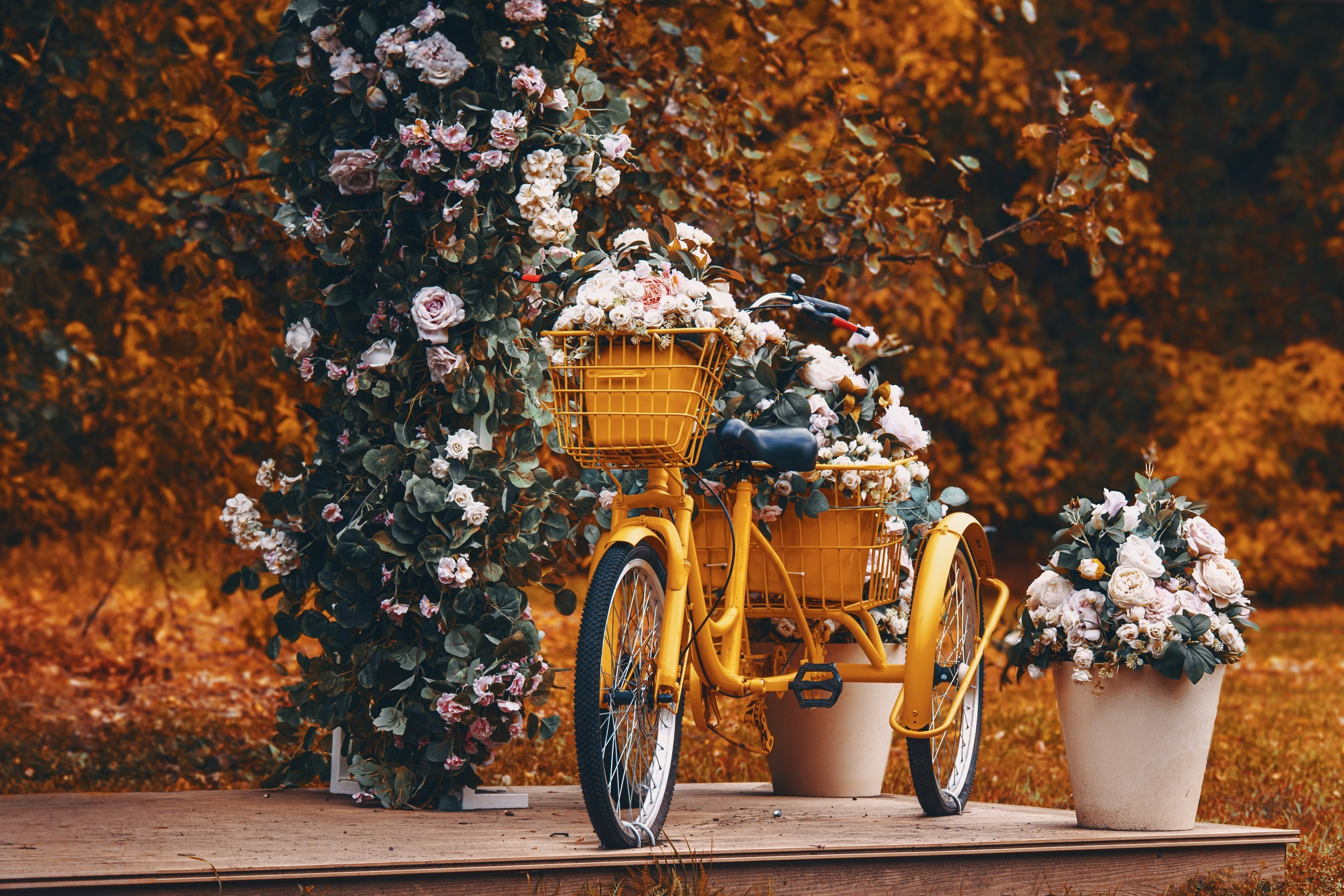 Фото-прогулка. Пенкин Александр