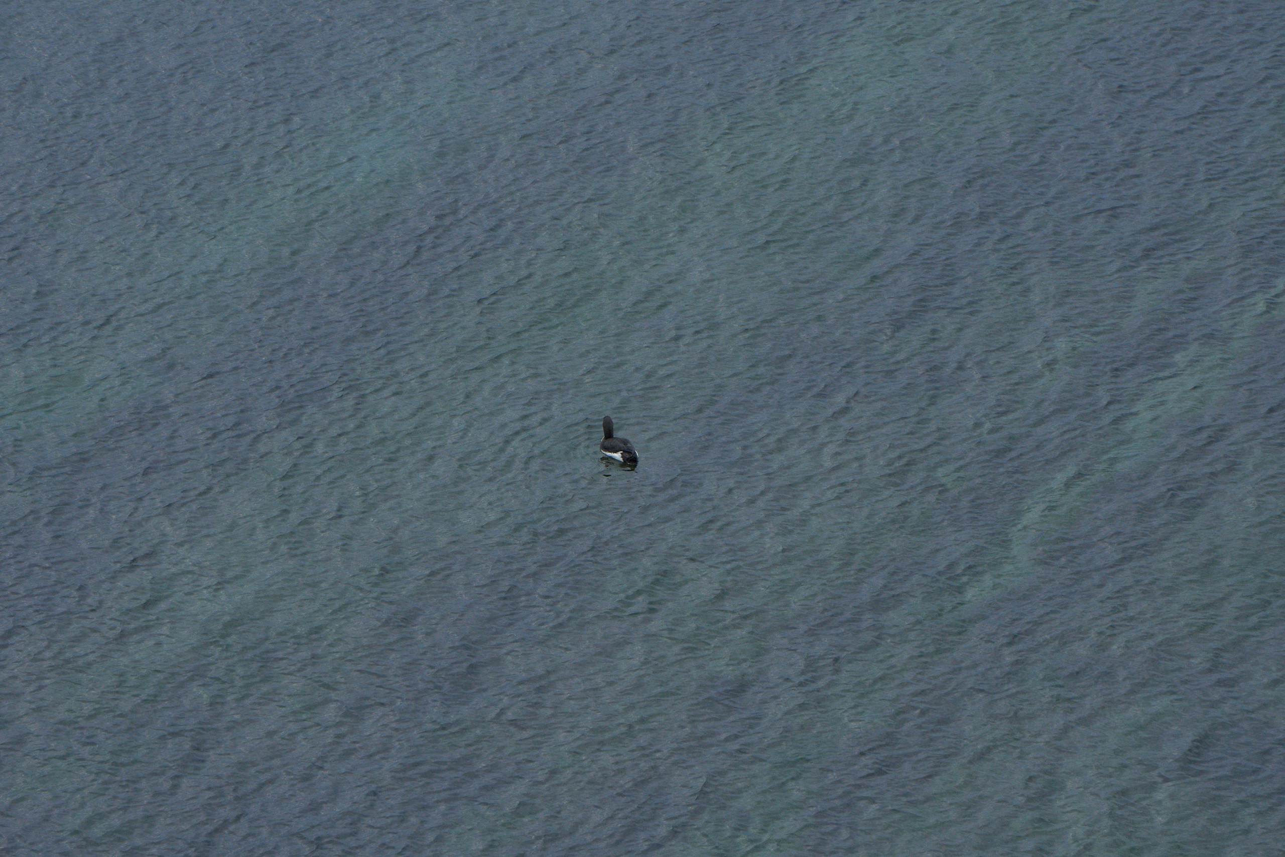 Фотографии улиц и пляжей Анапы. Профессиональный фотограф в Анапе Артем Ковальский