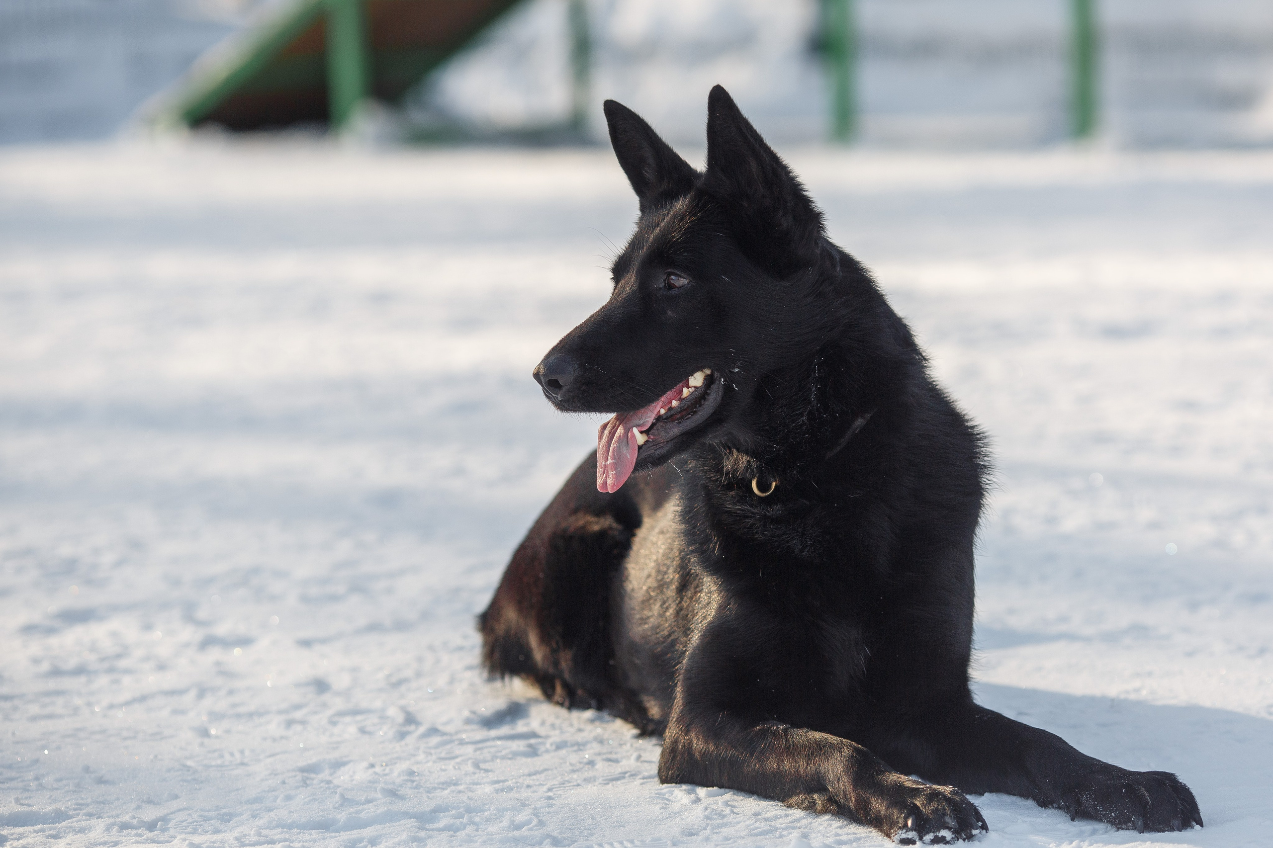 Репортажный фотограф Борис Геер