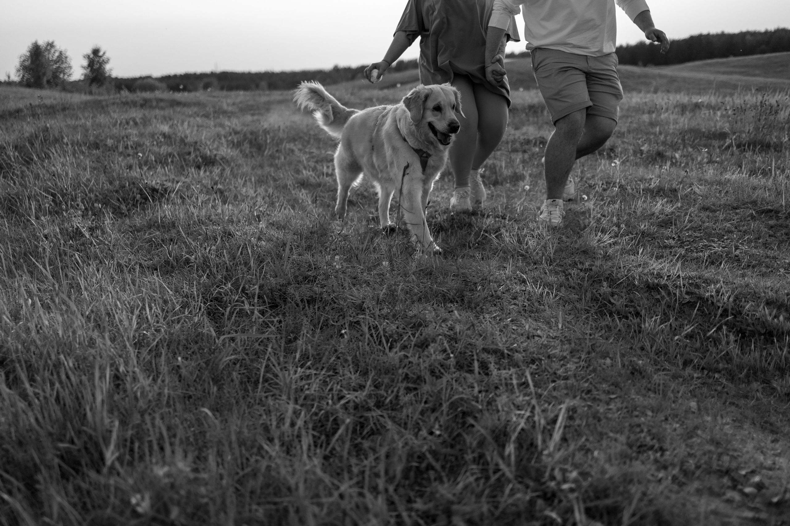 Милка и ребята. Фотограф — Анималист | Санкт-Петербург